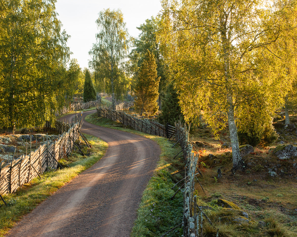 Canon EOS 5DS R + ZEISS Otus 55mm F1.4 sample photo. Stensjö by höst i photography