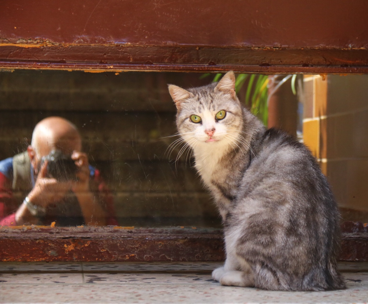 Canon EOS 750D (EOS Rebel T6i / EOS Kiss X8i) sample photo. Istanbul-turkey photography