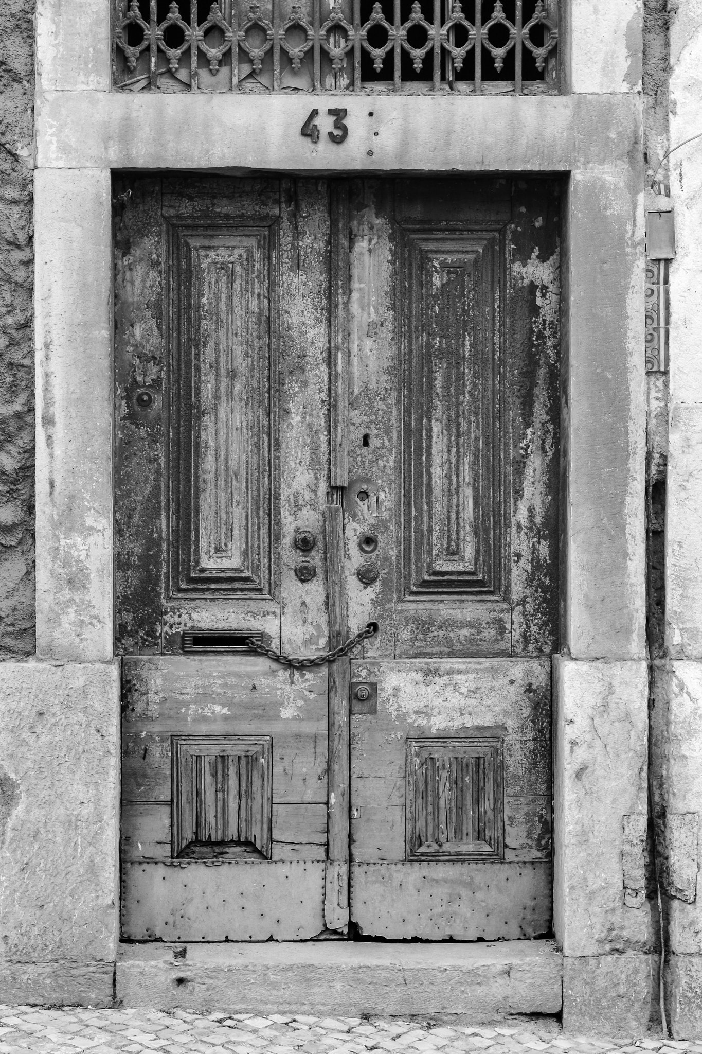 Canon EOS 700D (EOS Rebel T5i / EOS Kiss X7i) + Canon EF 50mm F1.8 II sample photo. Beatiful old door photography