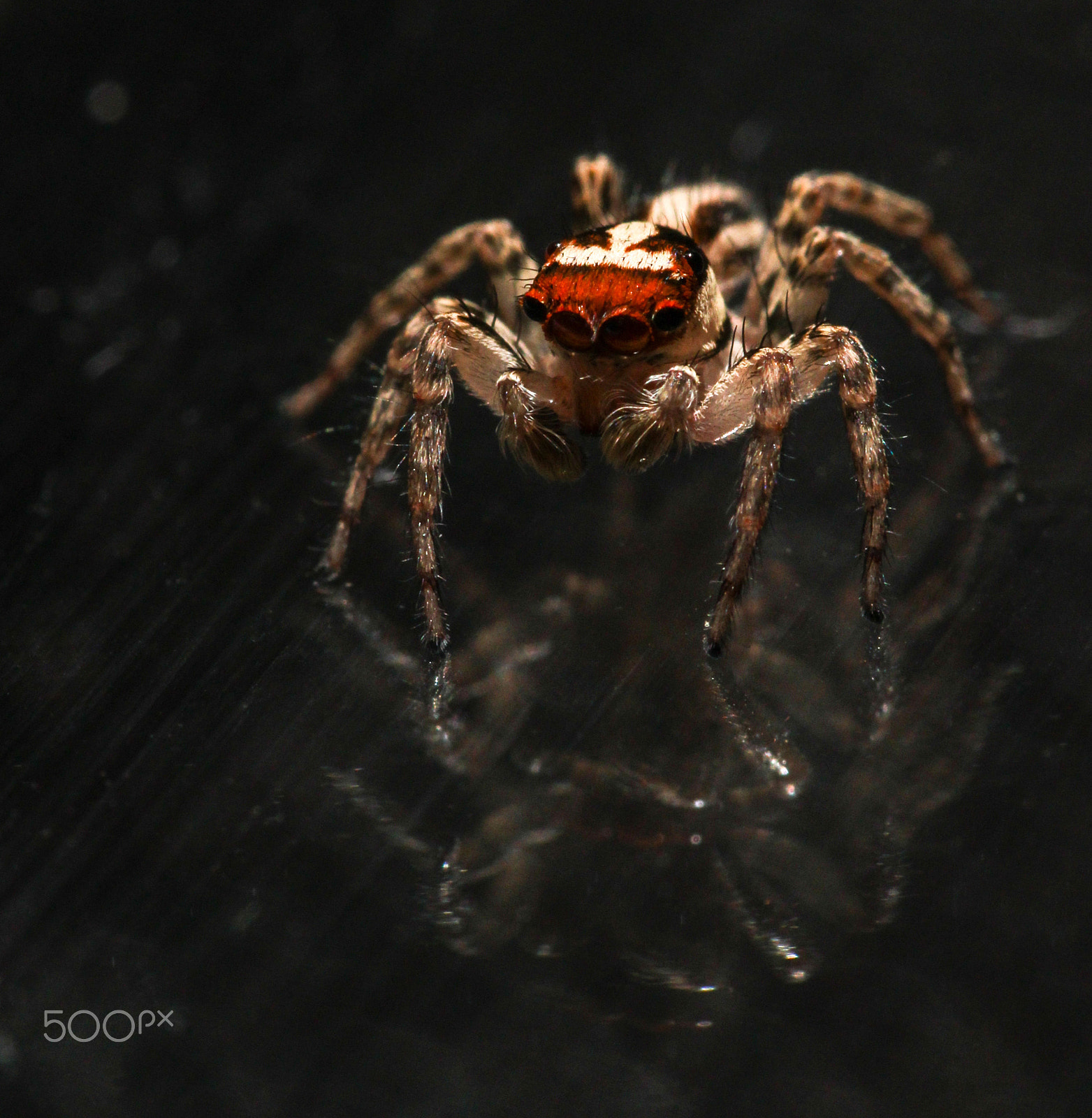 Sigma 105mm F2.8 EX DG OS HSM sample photo. Mirrored photography