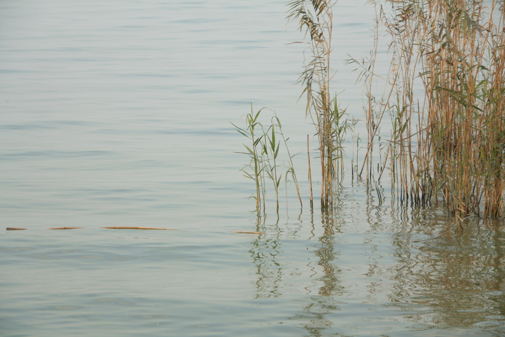 Sigma 18-200mm f/3.5-6.3 DC OS sample photo. 太湖 photography