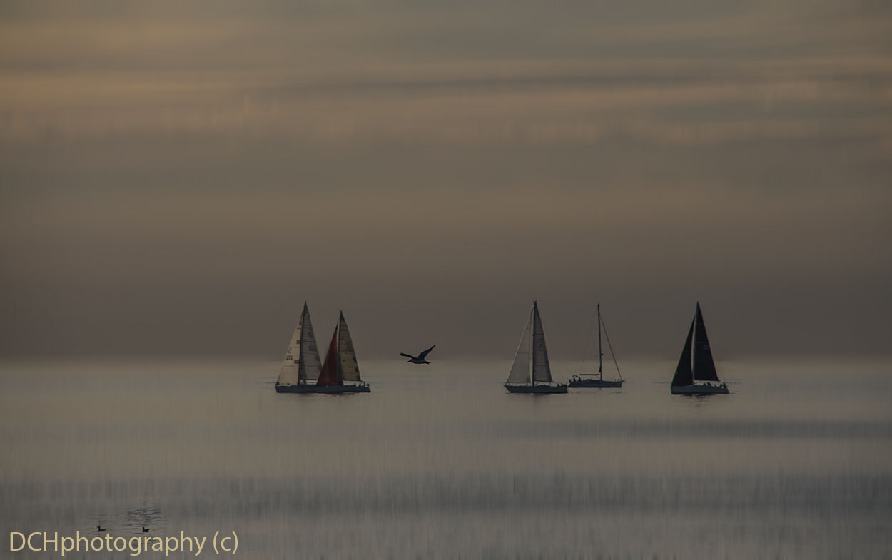 Sigma 18-200mm f/3.5-6.3 DC OS sample photo. Sailing photography