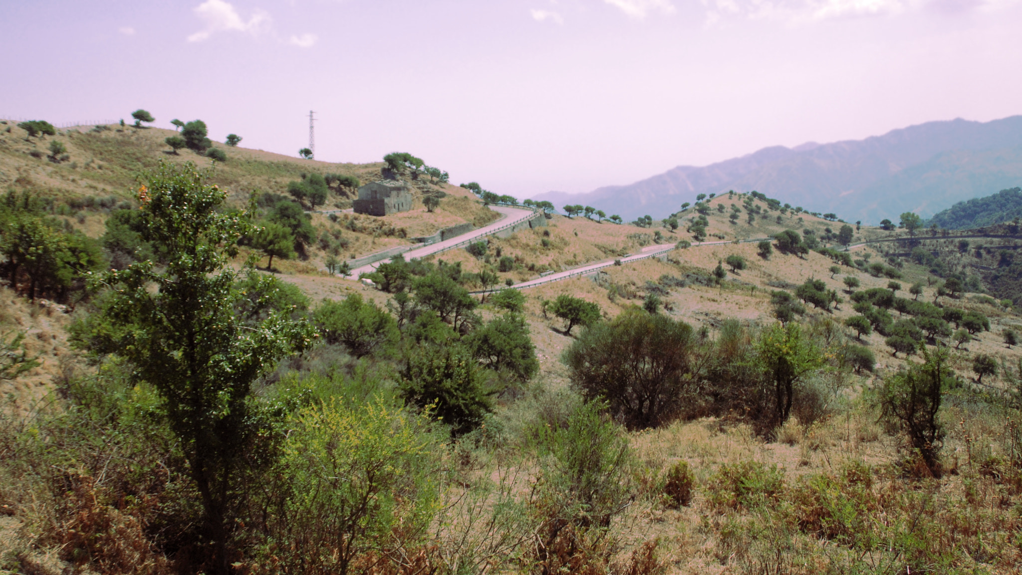 Nikon D80 sample photo. Near and far photography