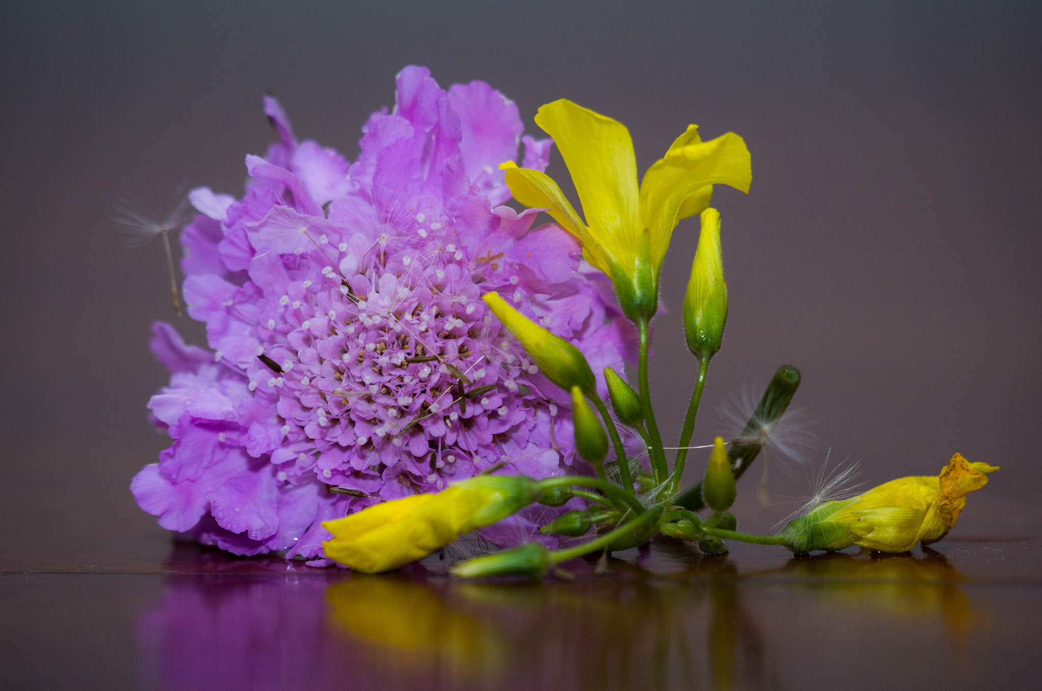 Pentax K-30 sample photo