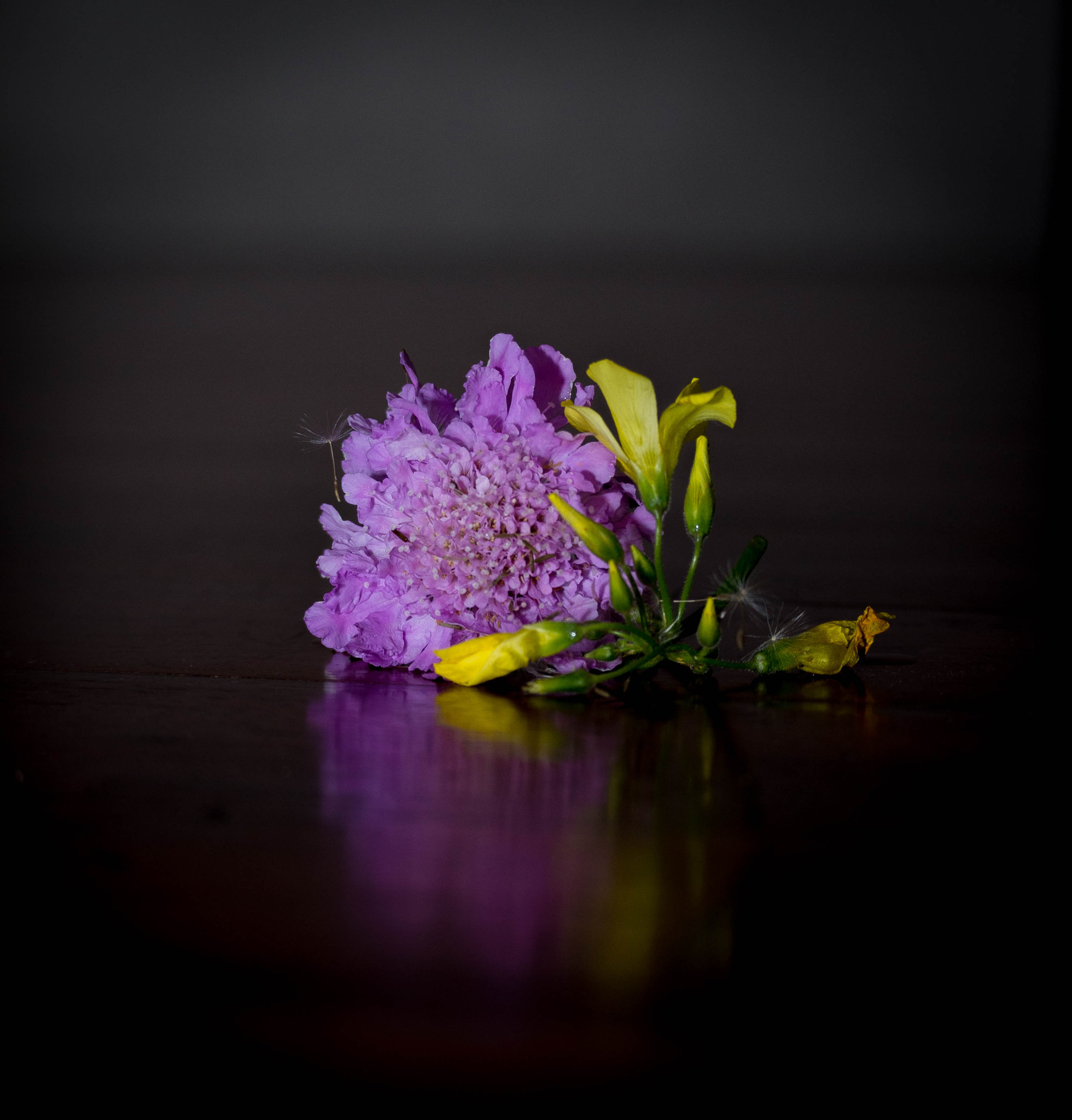 Pentax K-30 sample photo
