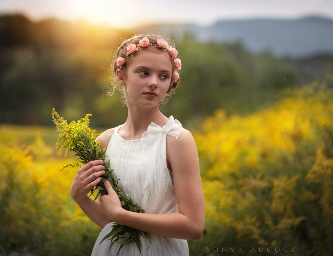 Nikon D700 + Nikon AF Nikkor 105mm F2D DC sample photo. Dulcinea photography