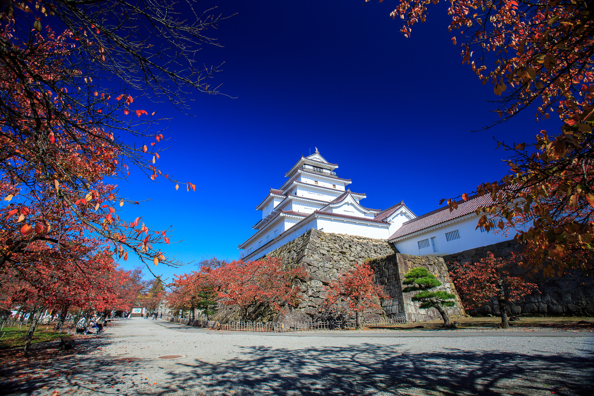Canon EF 16-35mm F2.8L USM sample photo. Aitsuwakamatsu castle photography