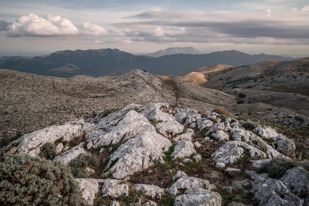 Pentax K-S2 + HD Pentax DA 15mm F4 ED AL Limited sample photo. Monte albo photography