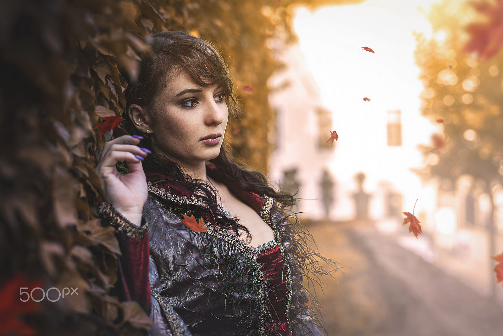 Sony a7R + Sony FE 50mm F1.8 sample photo. Autumn photography