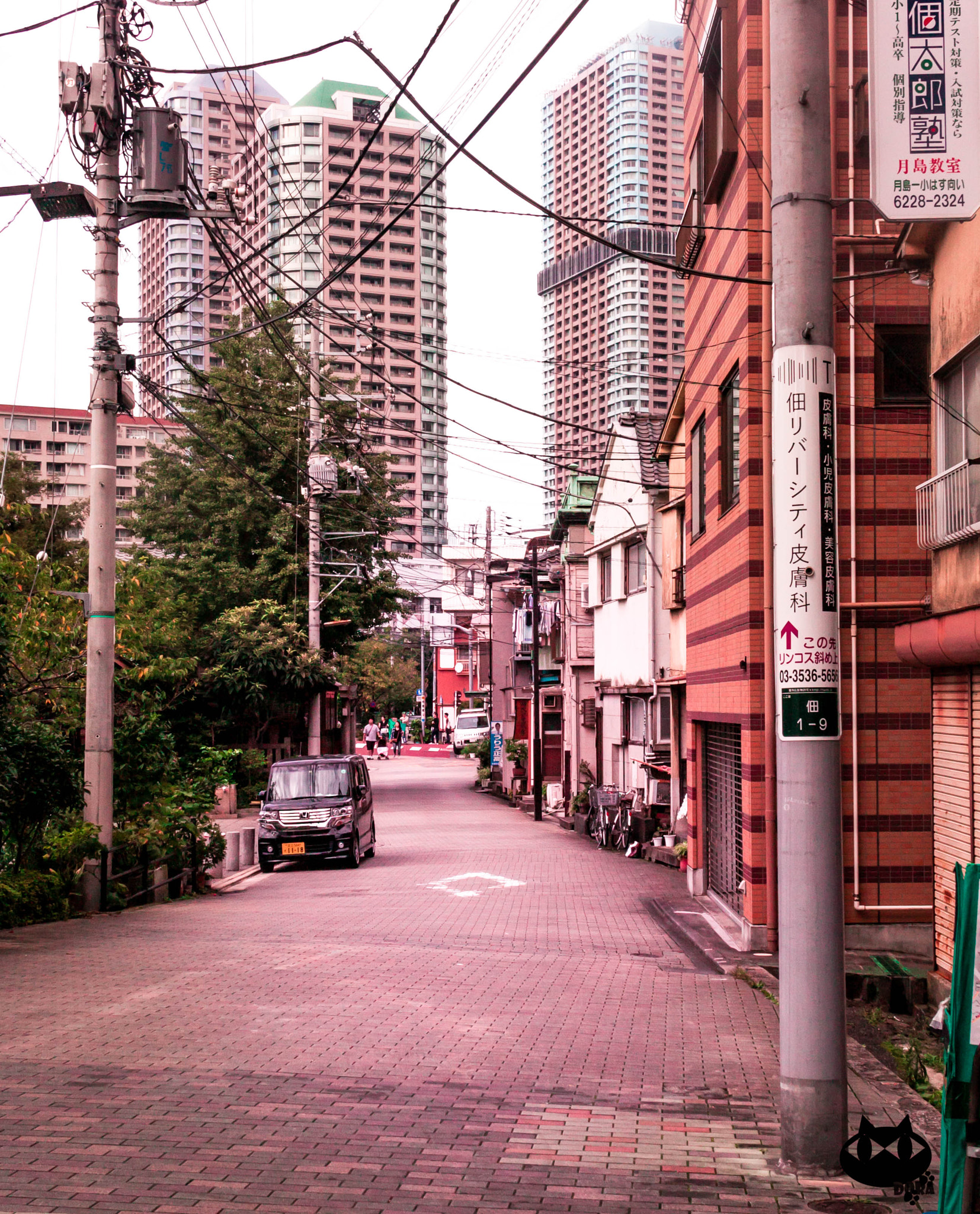 Canon EOS 40D sample photo. The ordinary photography