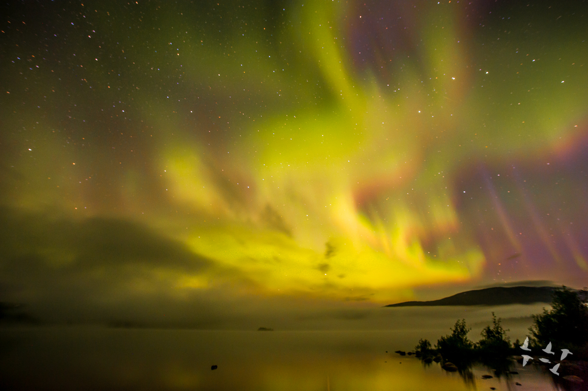 Nikon D700 sample photo. Aurora borealis storsvenningvatnet photography