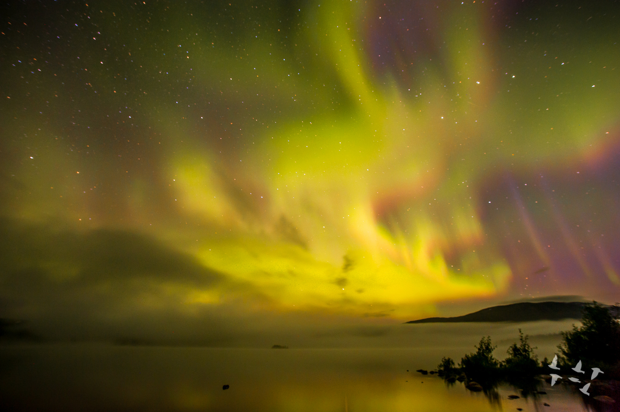 Nikon D700 + Sigma 20mm F1.8 EX DG Aspherical RF sample photo. Aurora borealis storsvenningvatnet photography