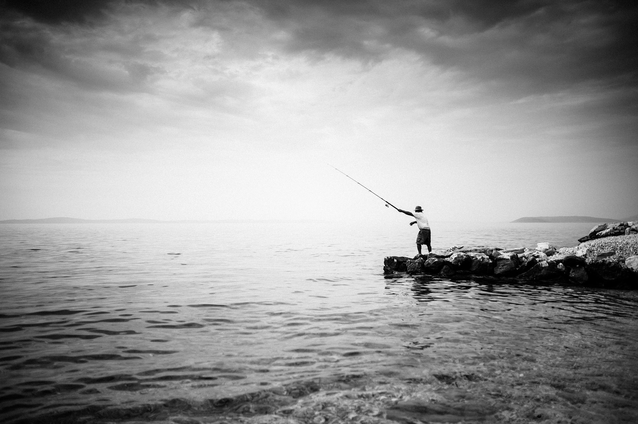Nikon Df + Sigma 35mm F1.4 DG HSM Art sample photo. Sea life photography