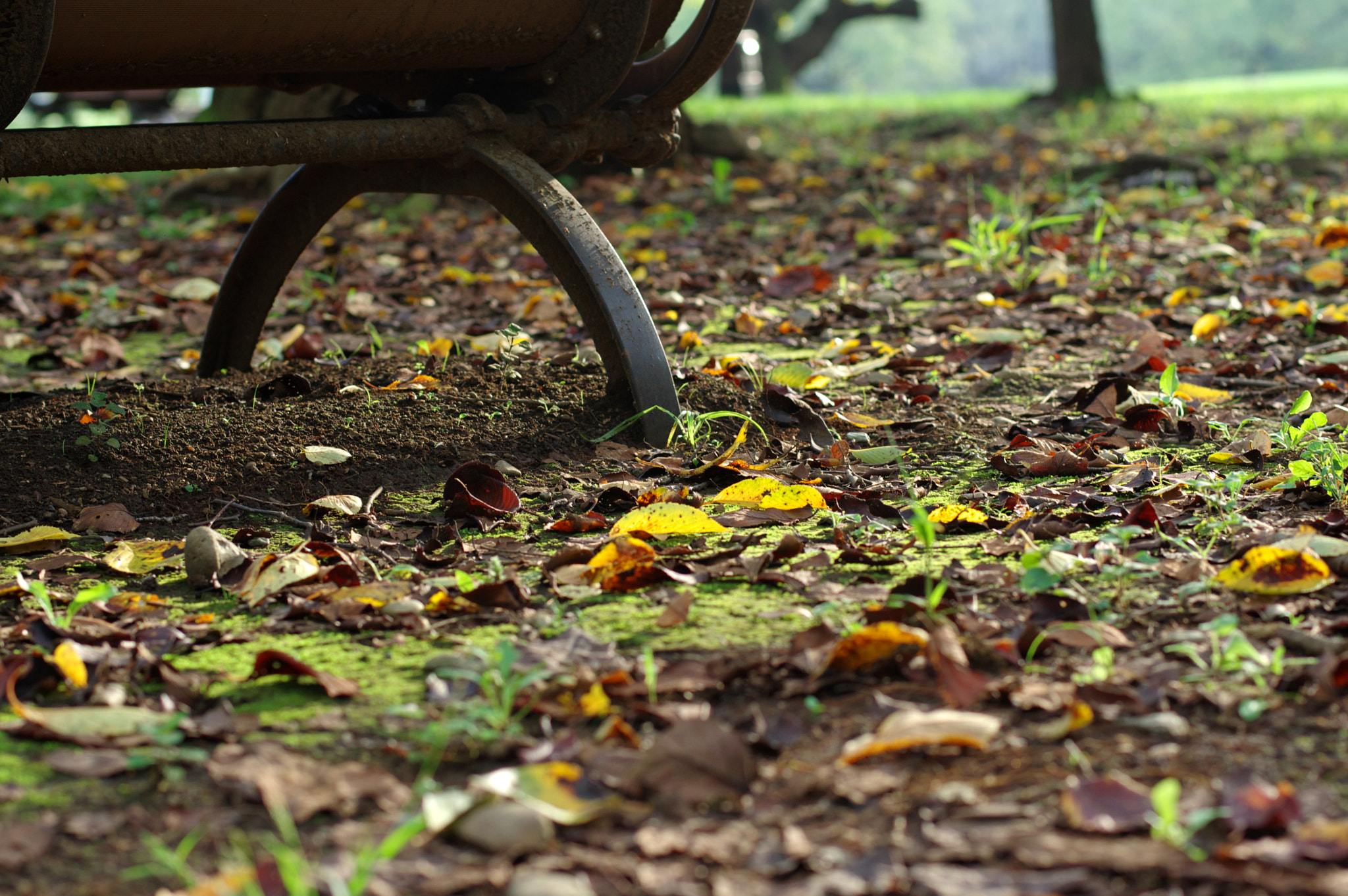 Pentax K-3 + Pentax smc DA* 55mm F1.4 SDM sample photo. I've lost you.... photography