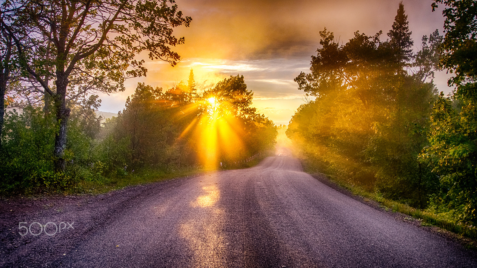 AF Zoom-Nikkor 28-80mm f/3.3-5.6G sample photo. Golden sunset photography