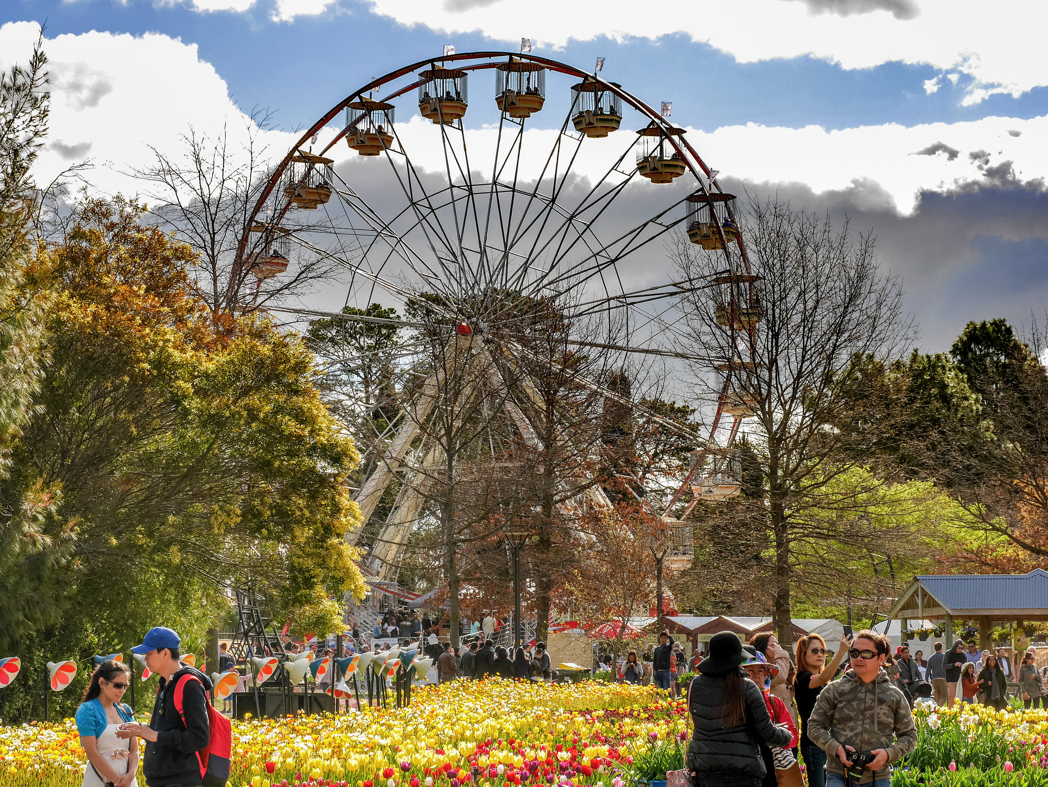 Panasonic DMC-GM1S sample photo. Ferris wheel - floriade 2016 - location: commonwealth park, act, australia photography