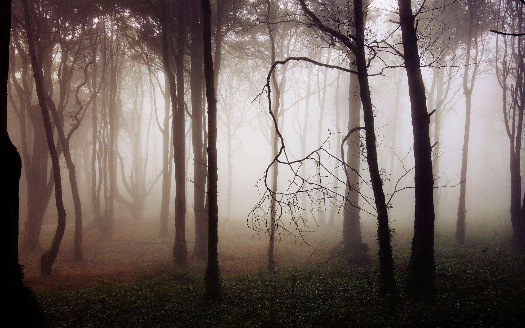 Canon EOS 5DS R + Canon EF 16-35mm F4L IS USM sample photo. Sintra dreams photography