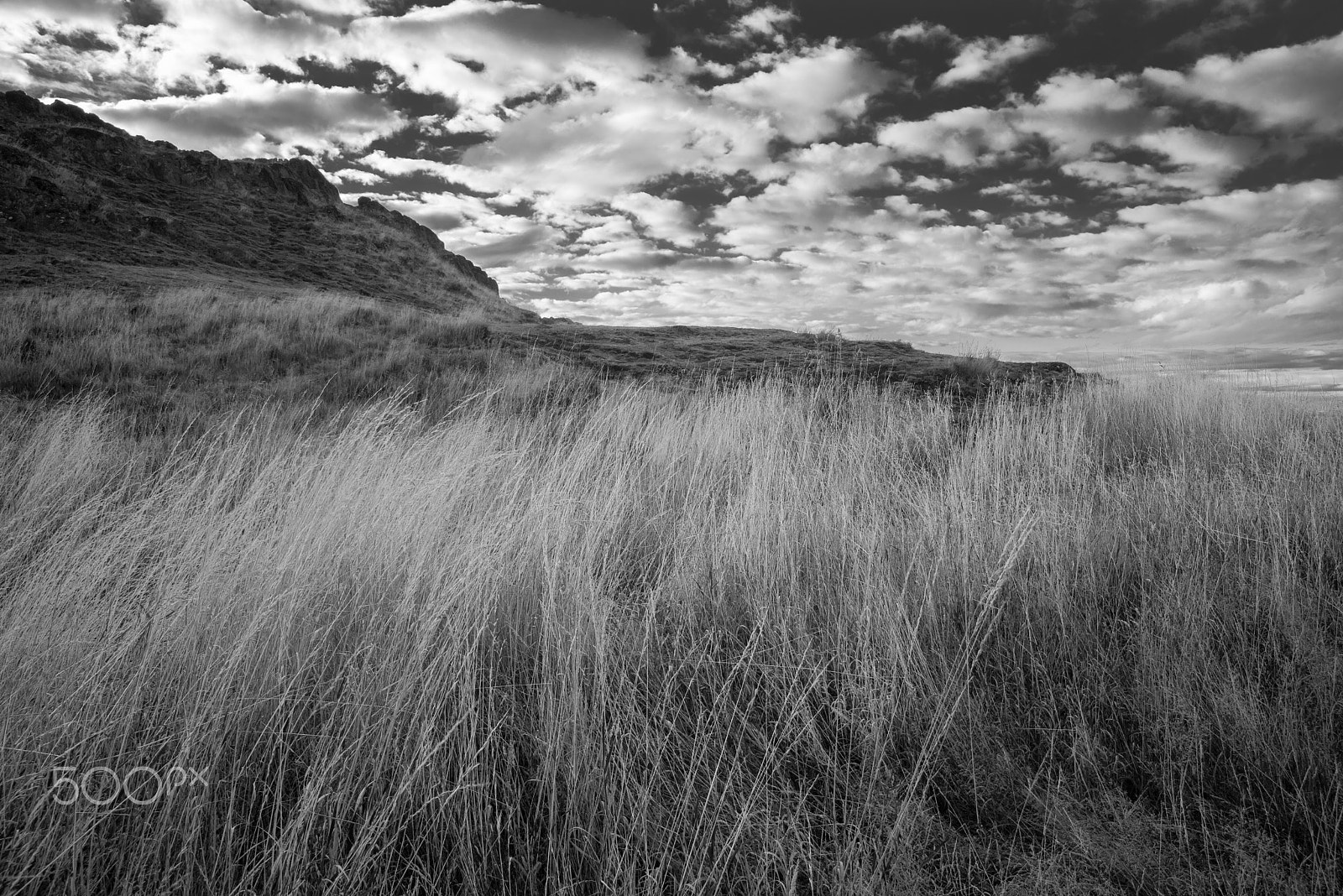 Nikon D600 sample photo. Hillside meadow under clouds in autumn photography