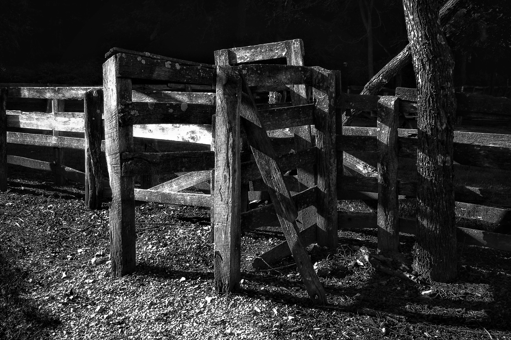 Canon EOS 1000D (EOS Digital Rebel XS / EOS Kiss F) + Tamron AF 28-200mm F3.8-5.6 XR Di Aspherical (IF) Macro sample photo. Old wooden fence photography