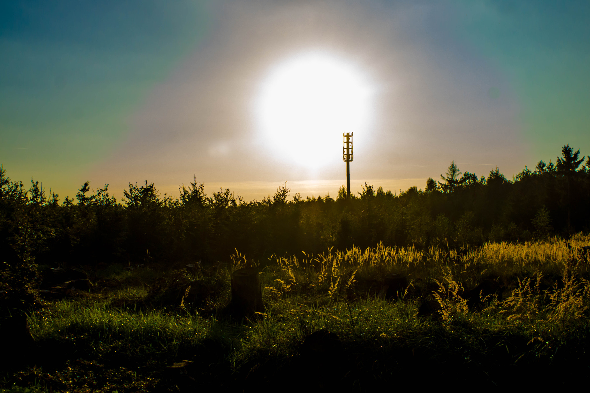 Sony DT 18-70mm F3.5-5.6 sample photo. Forstenrieder park abendsonne photography