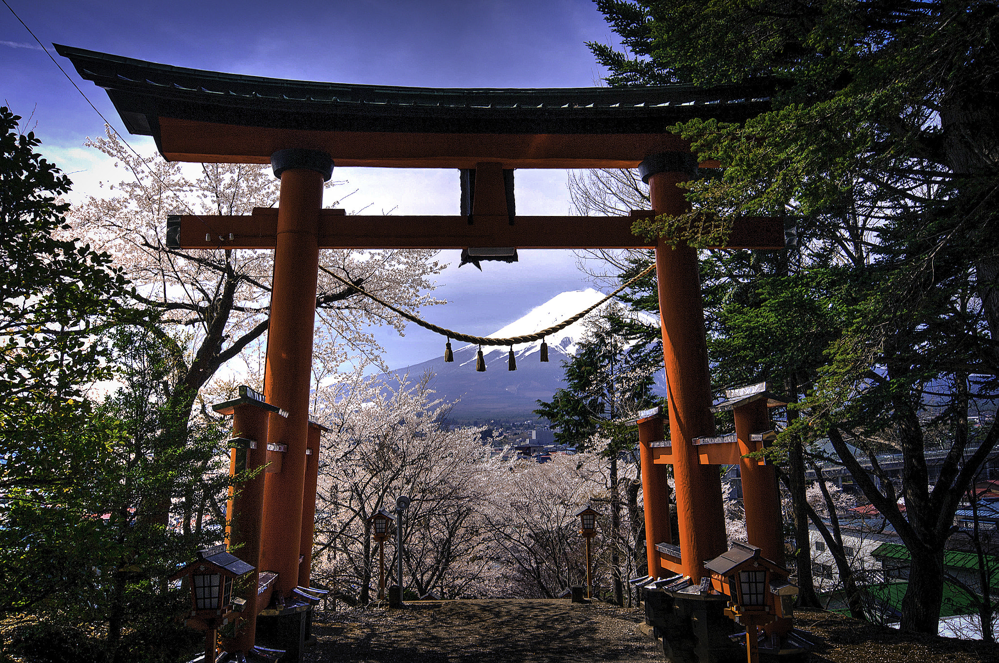 Sigma AF 10-20mm F4-5.6 EX DC sample photo. Mount fuji and cherry blossoms photography