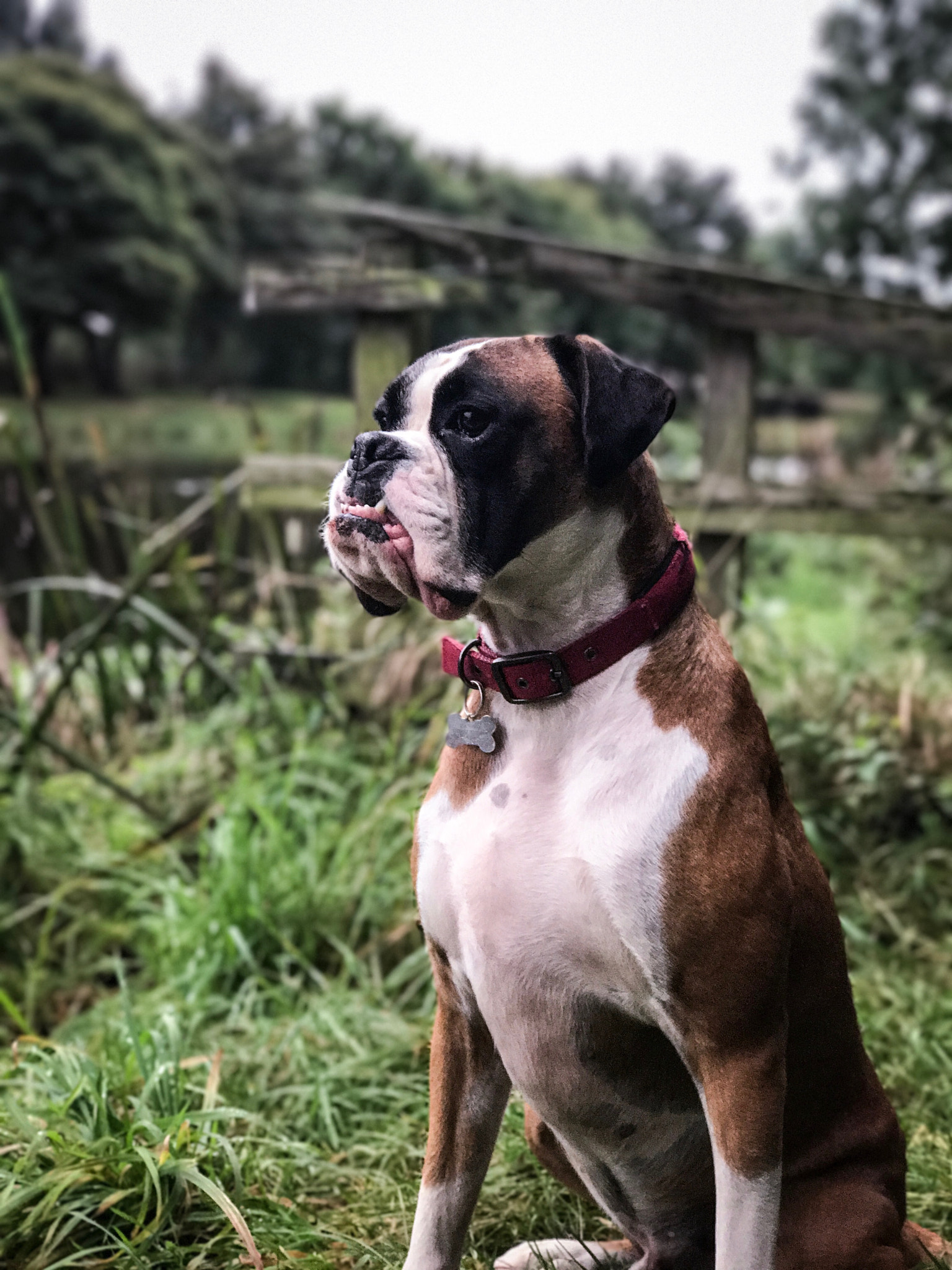 Apple iPhone 7 Plus sample photo. Thinking by the river photography