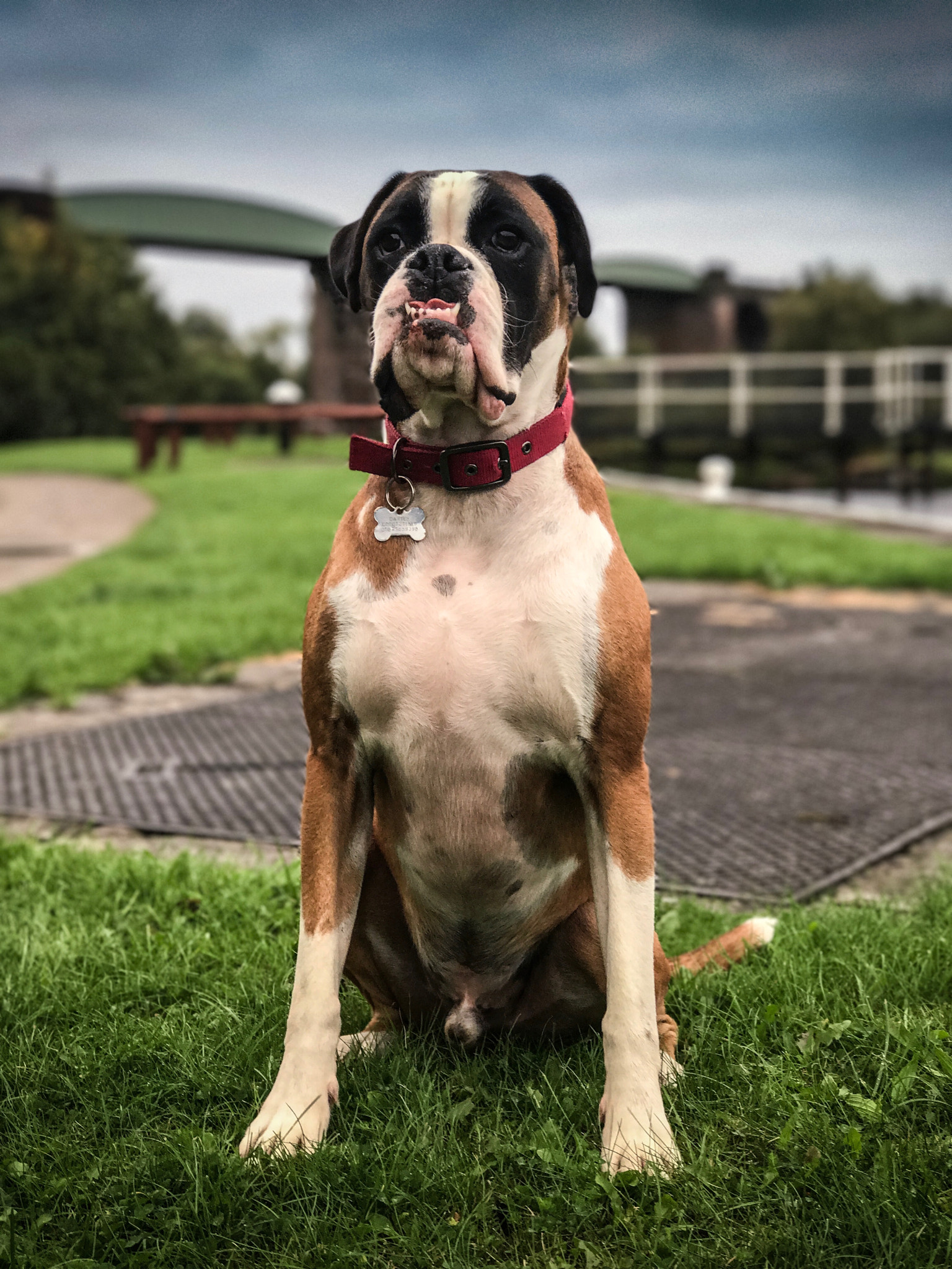 Apple iPhone 7 Plus sample photo. Standing proud photography