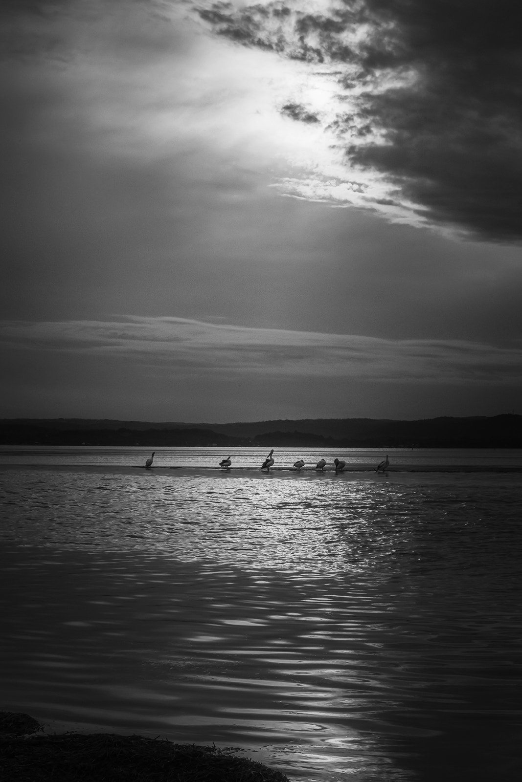 Sony a7 sample photo. Saltwater creek light photography