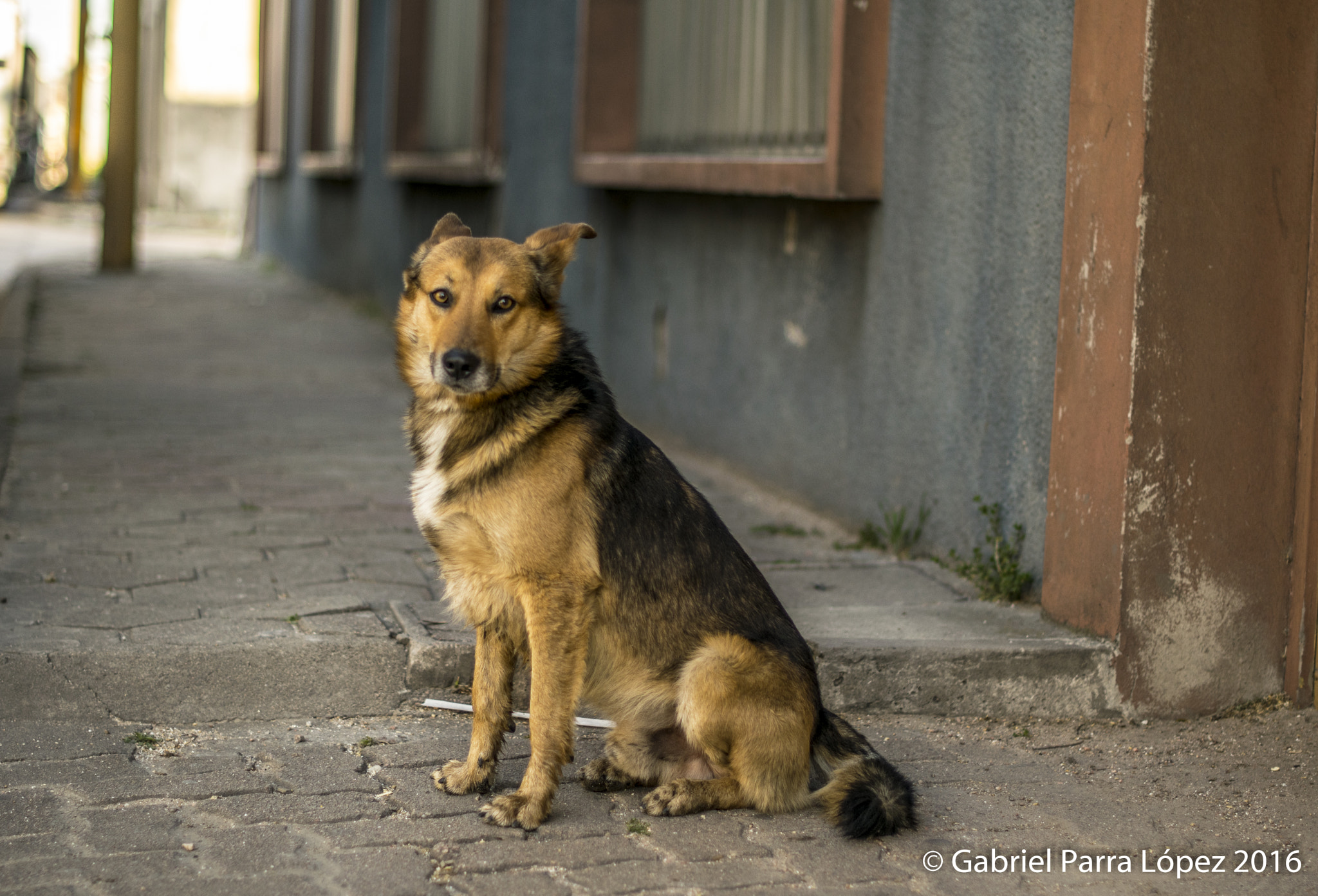 Nikon D5300 + Nikon AF-S Nikkor 50mm F1.4G sample photo. Ni tan lejos, ni tan cerca...ahí. photography