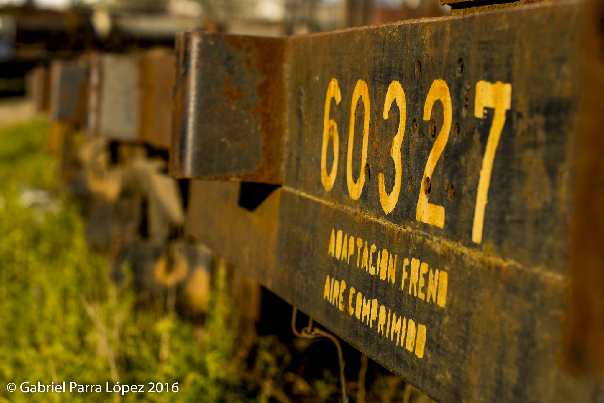 Nikon D5300 + Nikon AF-S Nikkor 50mm F1.4G sample photo. Olvidados... photography