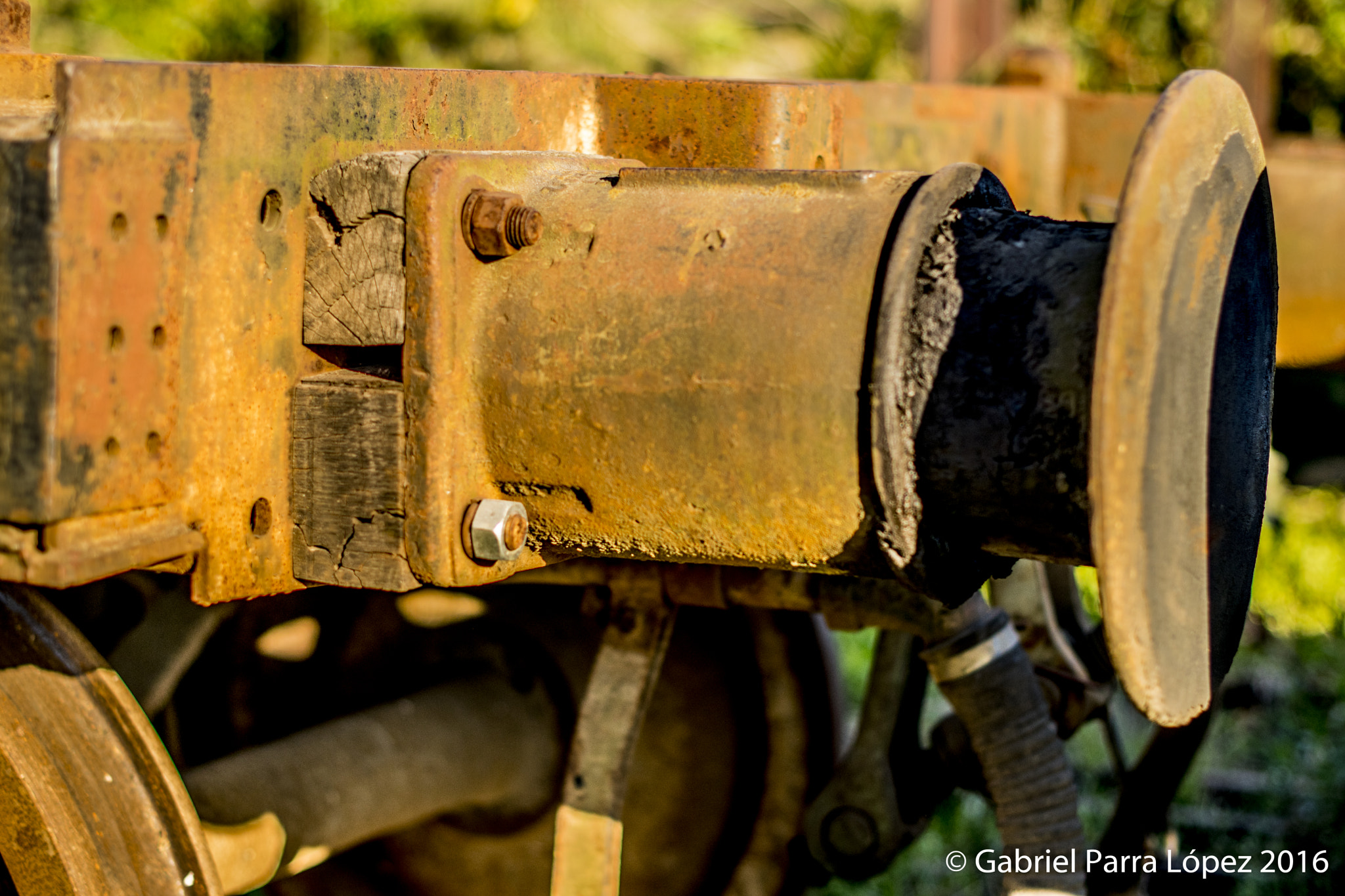 Nikon D5300 + Nikon AF-S Nikkor 50mm F1.4G sample photo. Olvidados... photography
