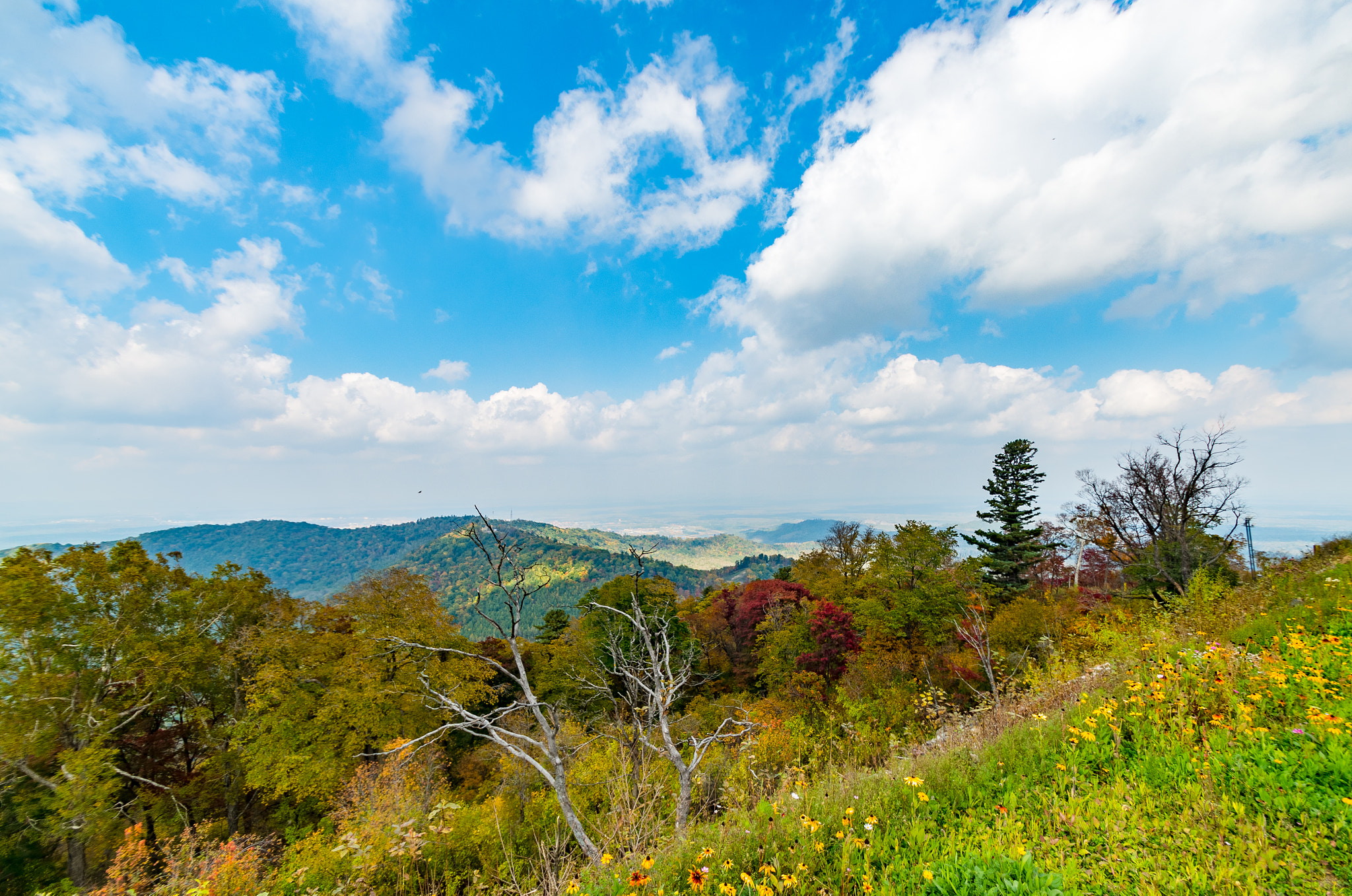 Pentax K-50 sample photo