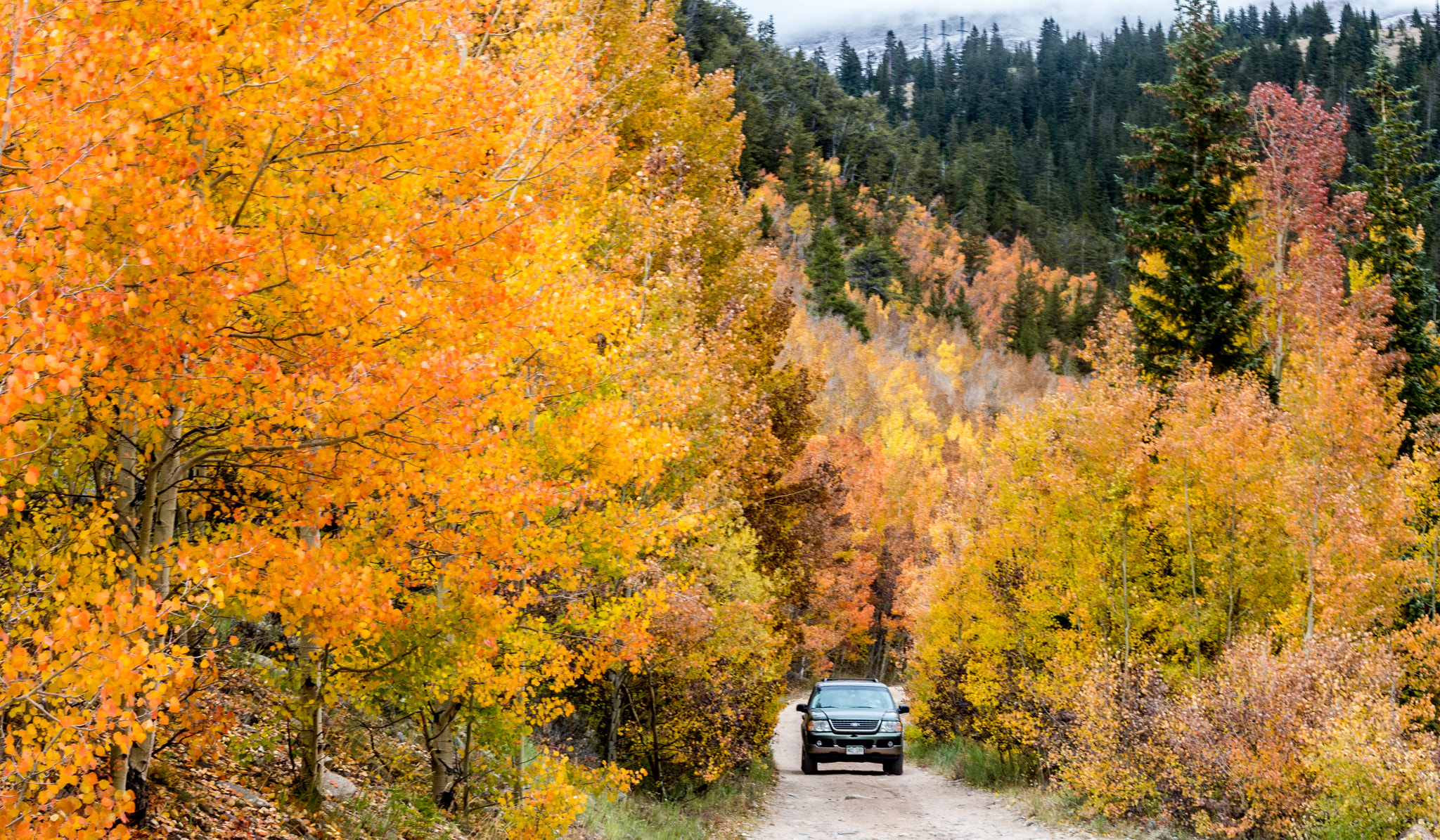 Canon EOS M + Canon EF 50mm F1.8 STM sample photo. Fall magic near leadville photography