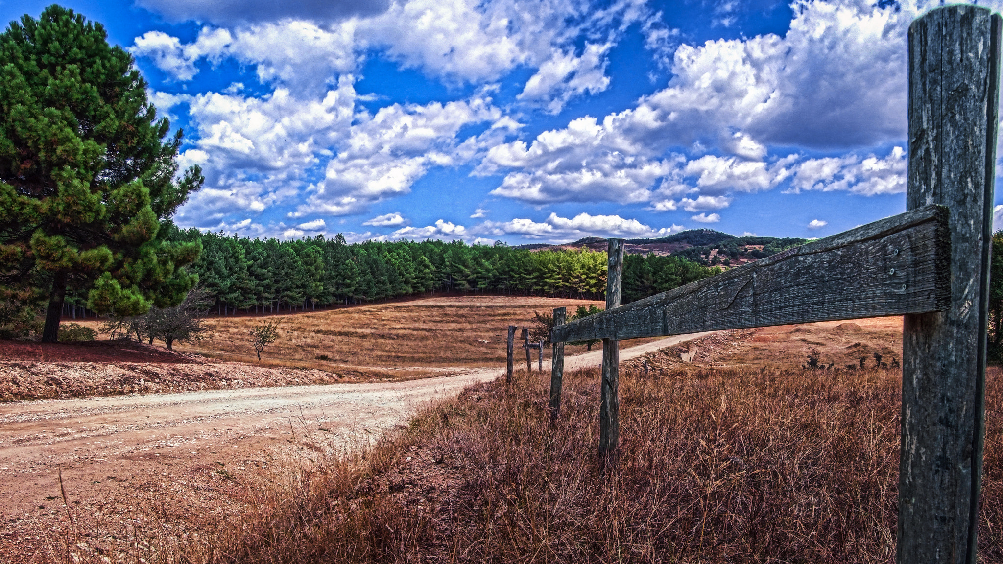 Fujifilm FinePix S6000fd sample photo. Dry grass land photography