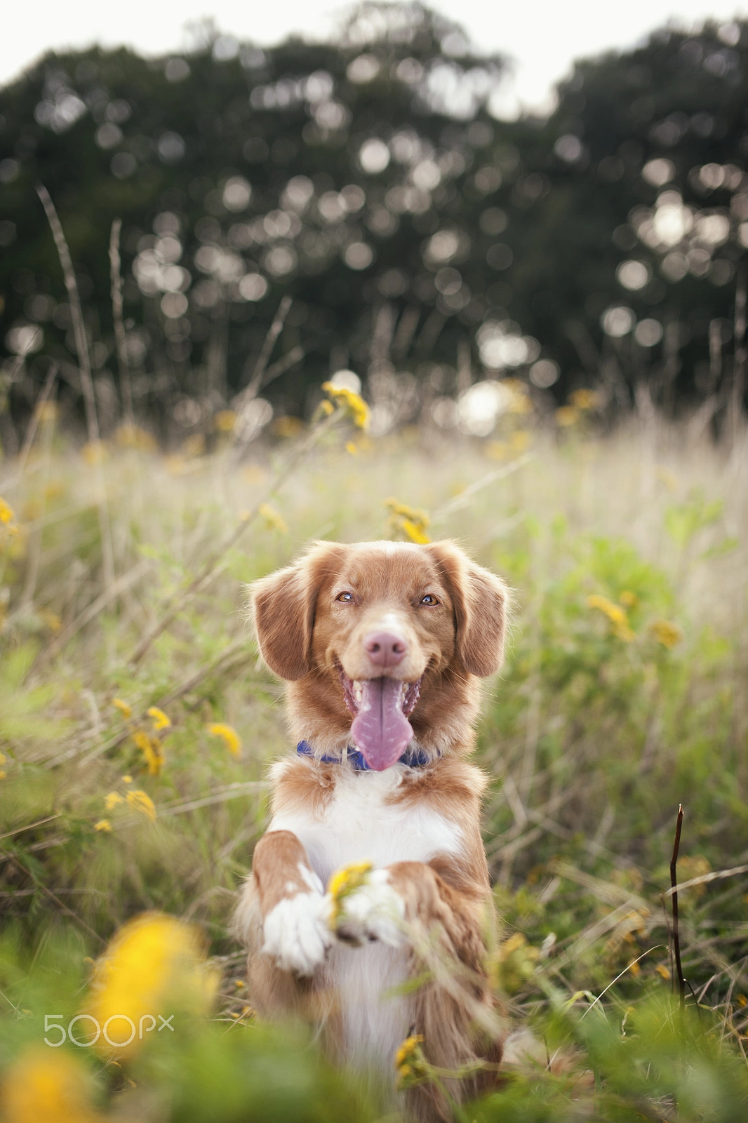 Nikon D3 + Sigma 50mm F1.4 EX DG HSM sample photo. Pretty please photography