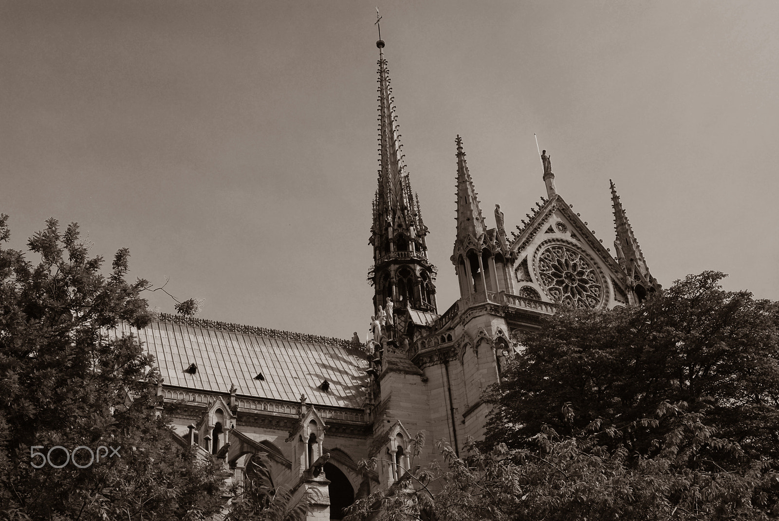 AF Zoom-Nikkor 28-70mm f/3.5-4.5D sample photo. Notre-dame i photography