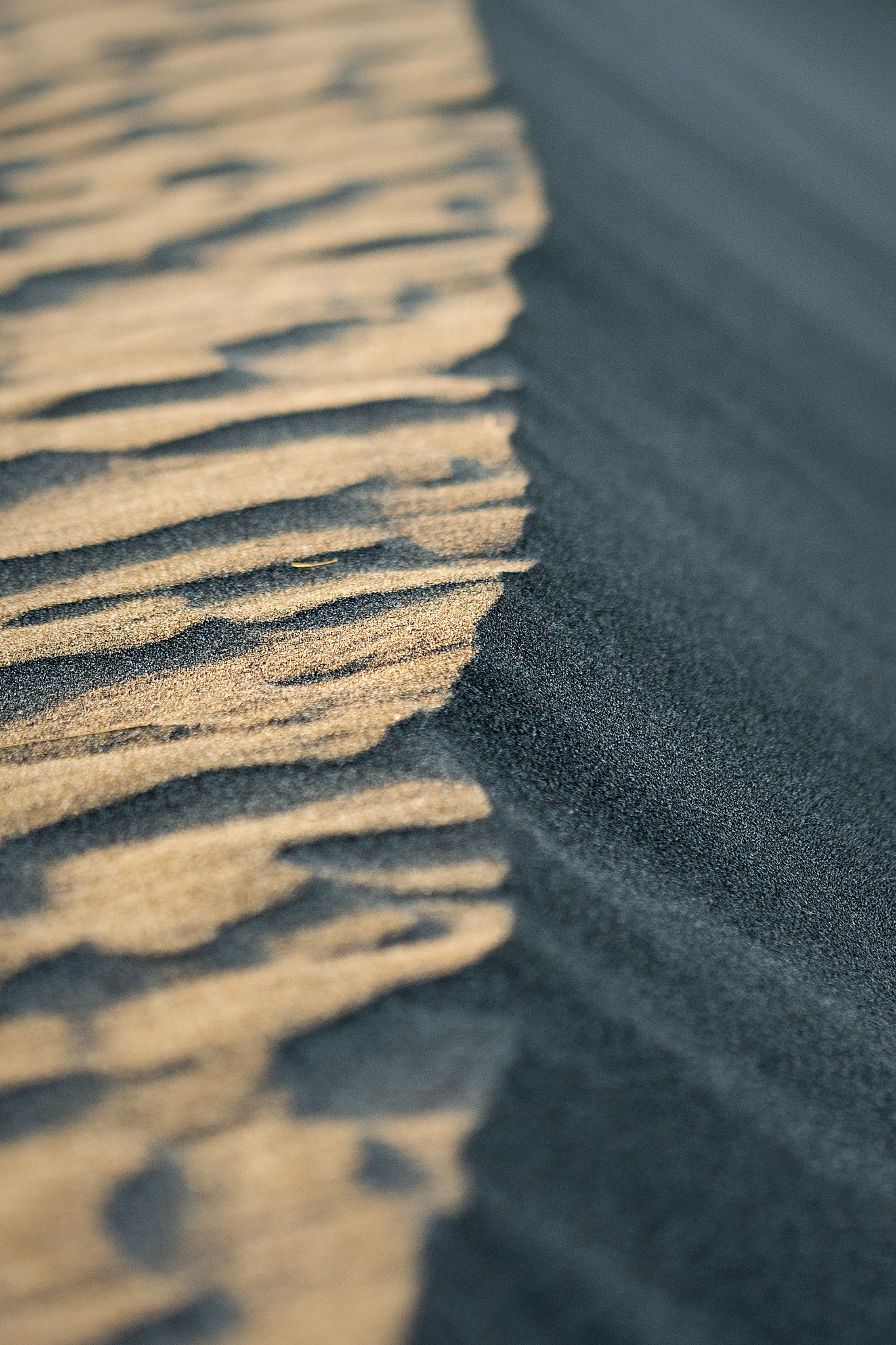 Nikon D500 sample photo. Tierra de nadie photography
