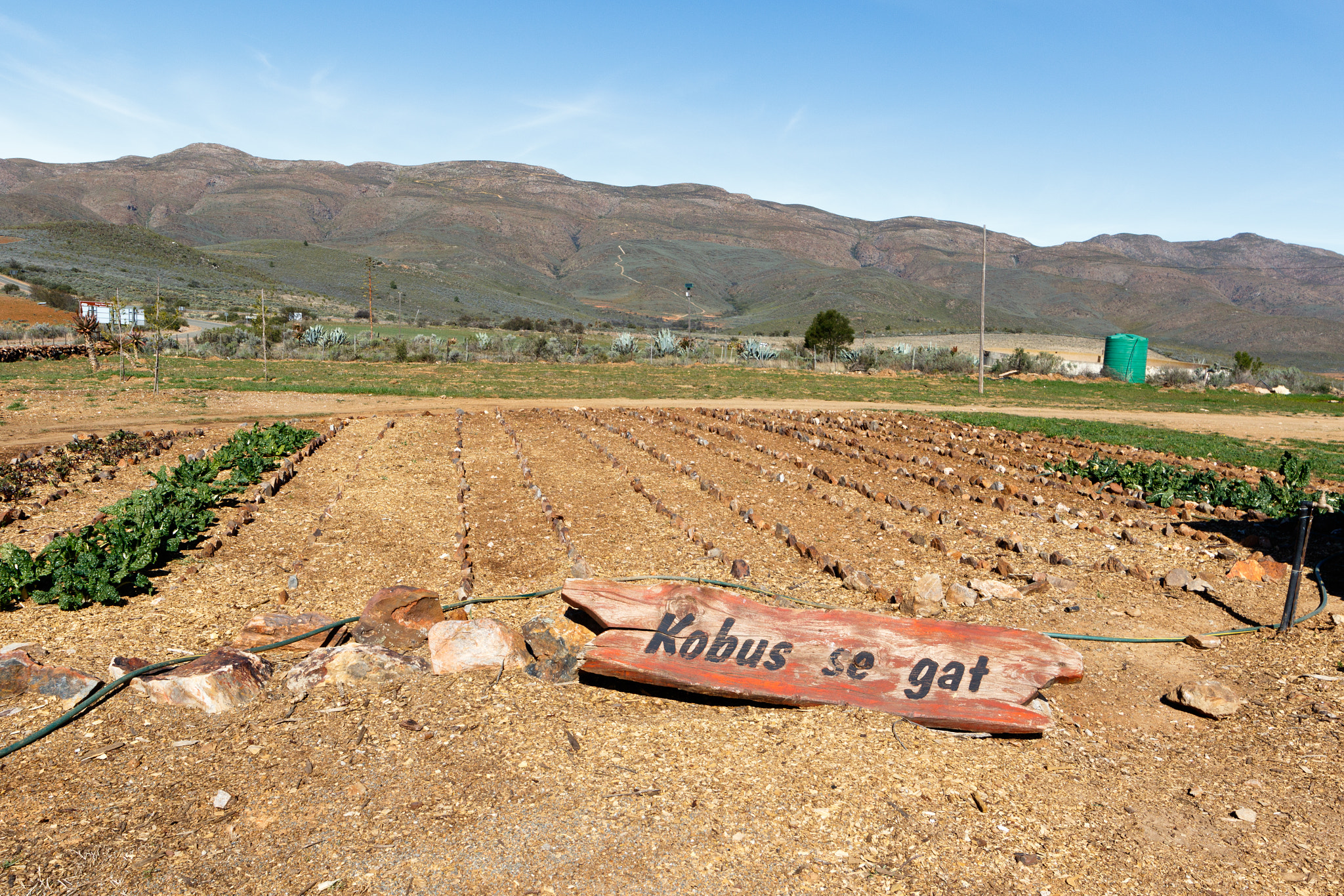 Canon EOS 7D Mark II + Canon EF 300mm f/2.8L sample photo. Farmland with mountains on the swartberg pass photography