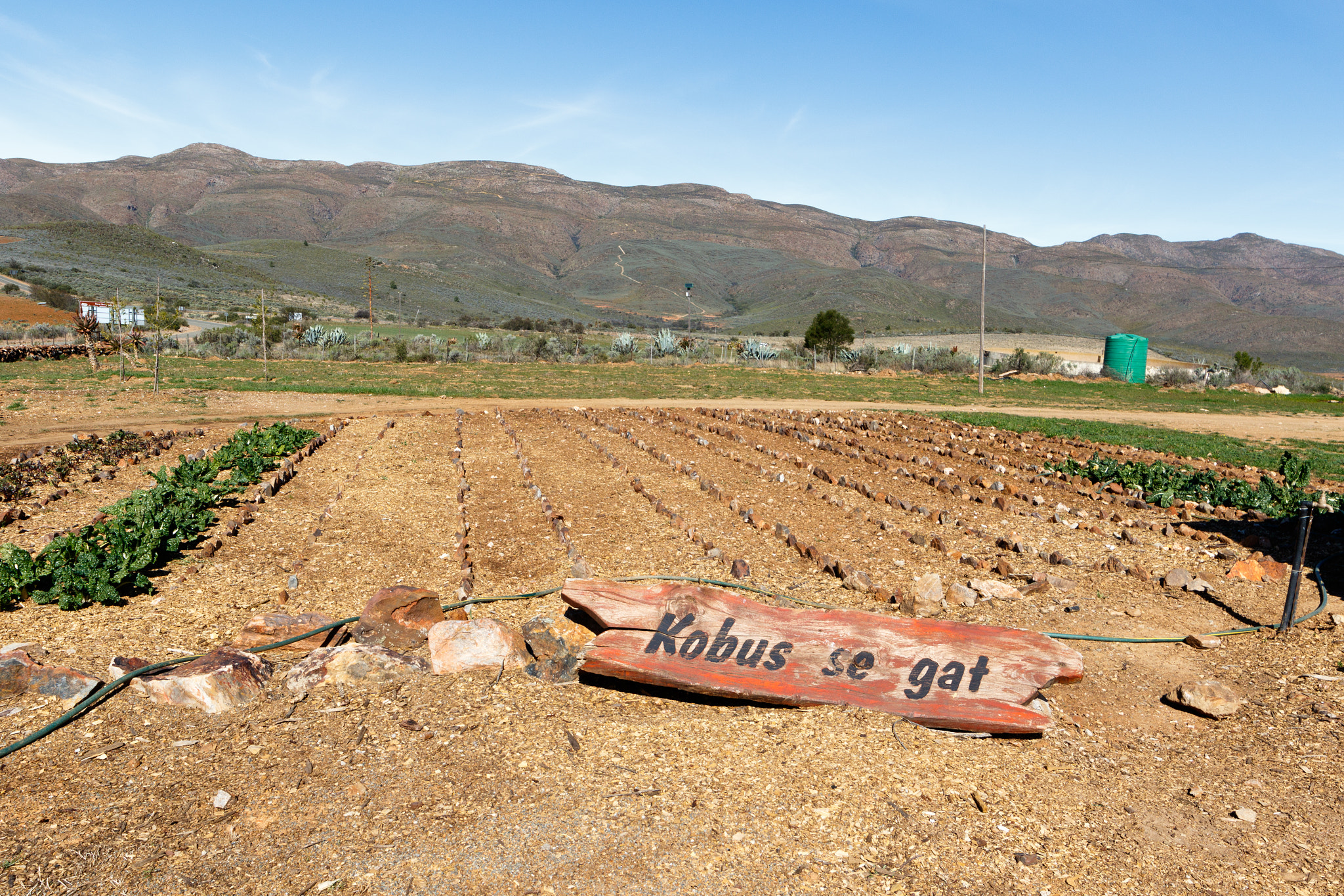 Canon EF 300mm f/2.8L sample photo. Farmland with mountains on the swartberg pass photography