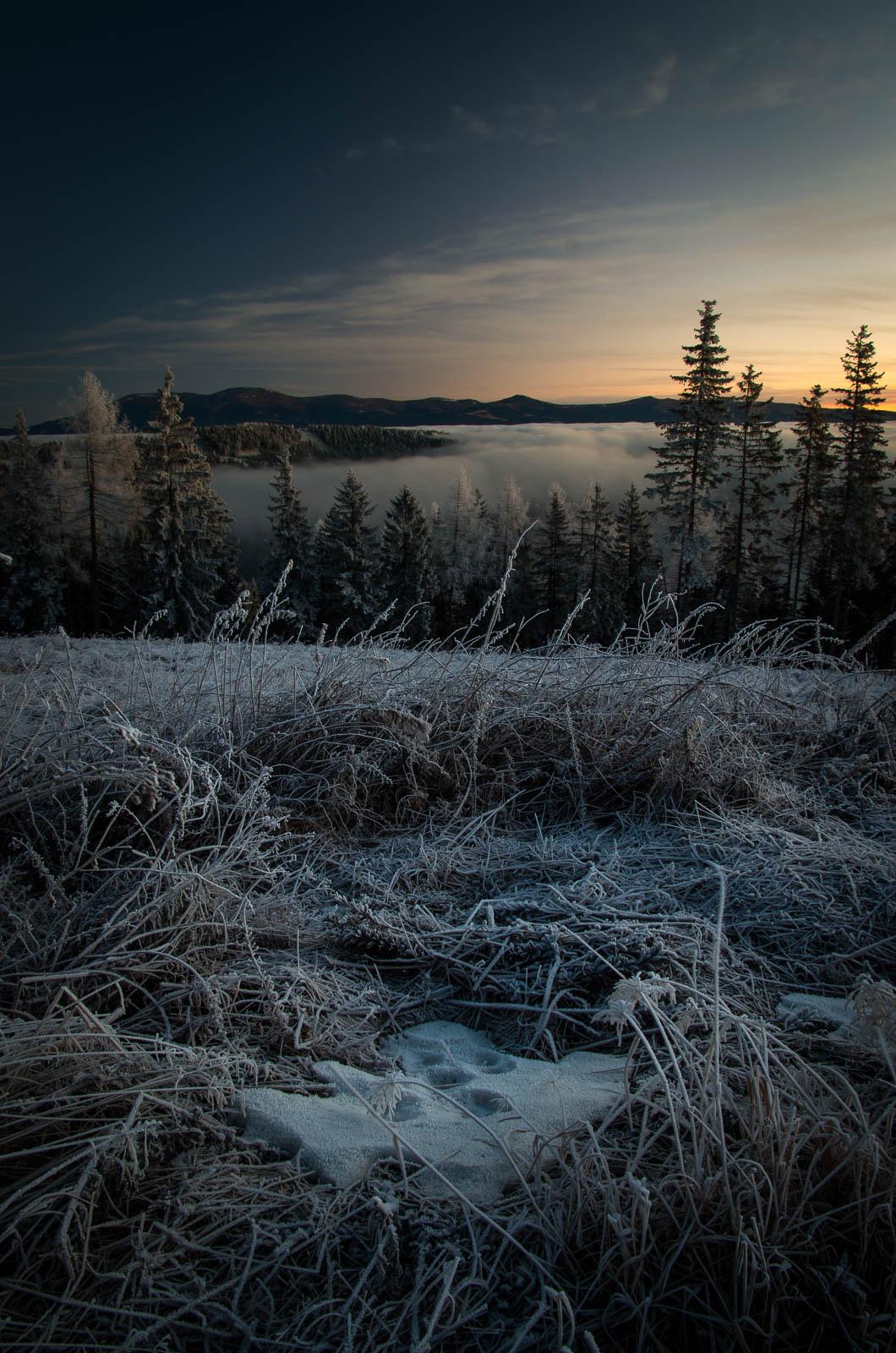 Pentax smc DA* 16-50mm F2.8 ED AL (IF) SDM sample photo. Frostiger morgen photography