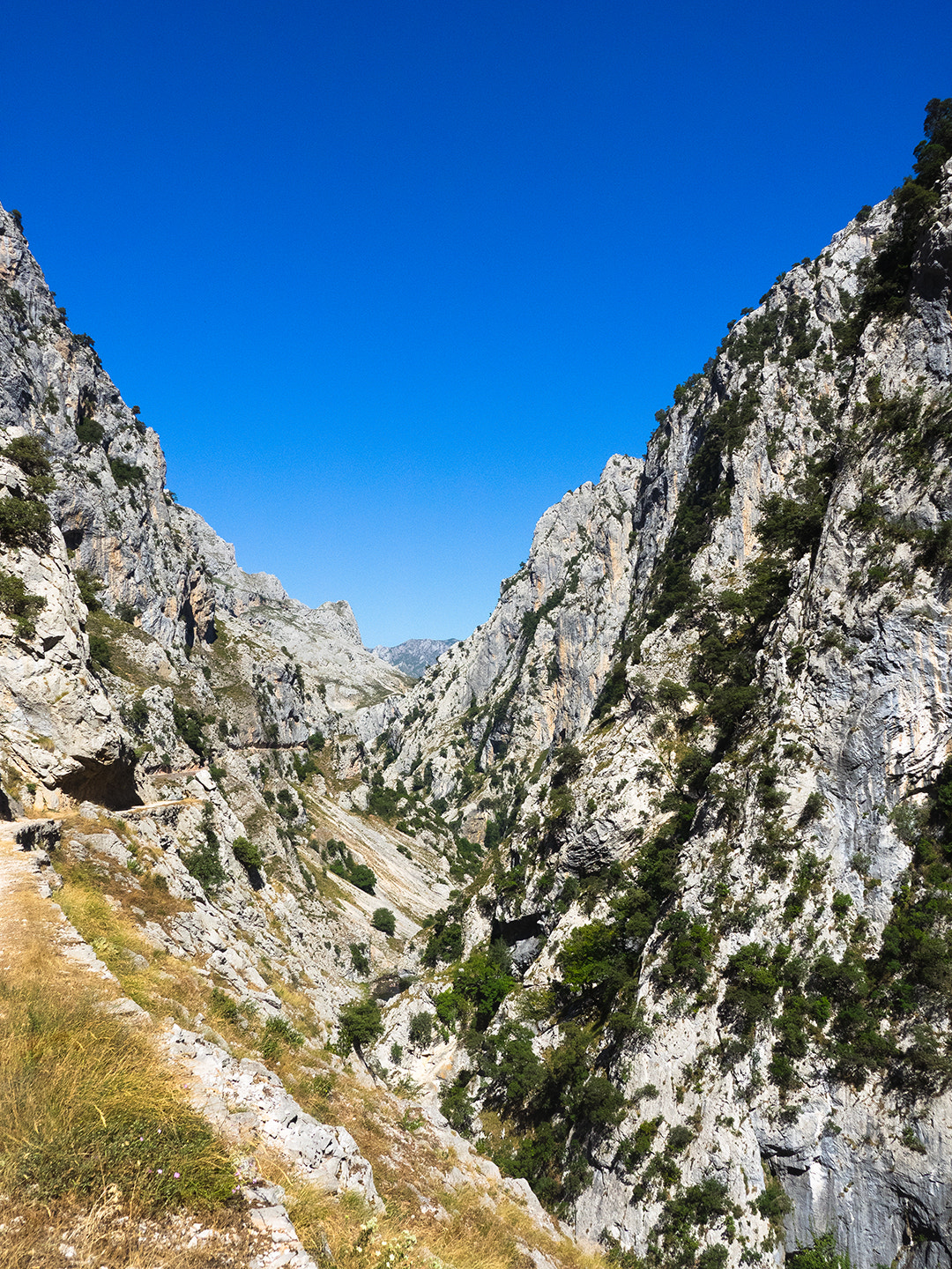 Olympus OM-D E-M1 + OLYMPUS 14-54mm Lens sample photo. Ruta del cares photography