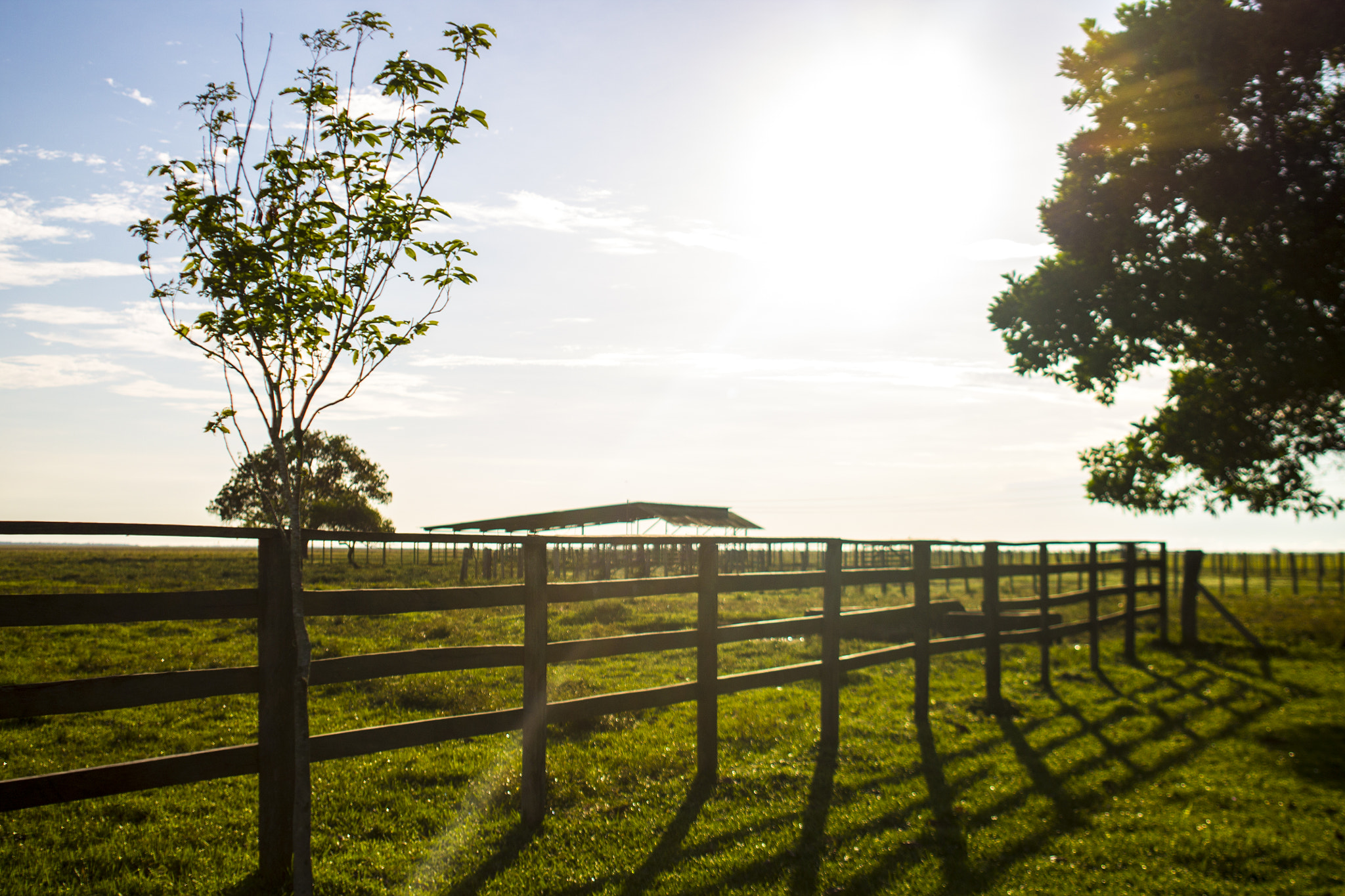 Canon EF 28-80mm f/2.8-4L sample photo. Dawn of cowboy photography