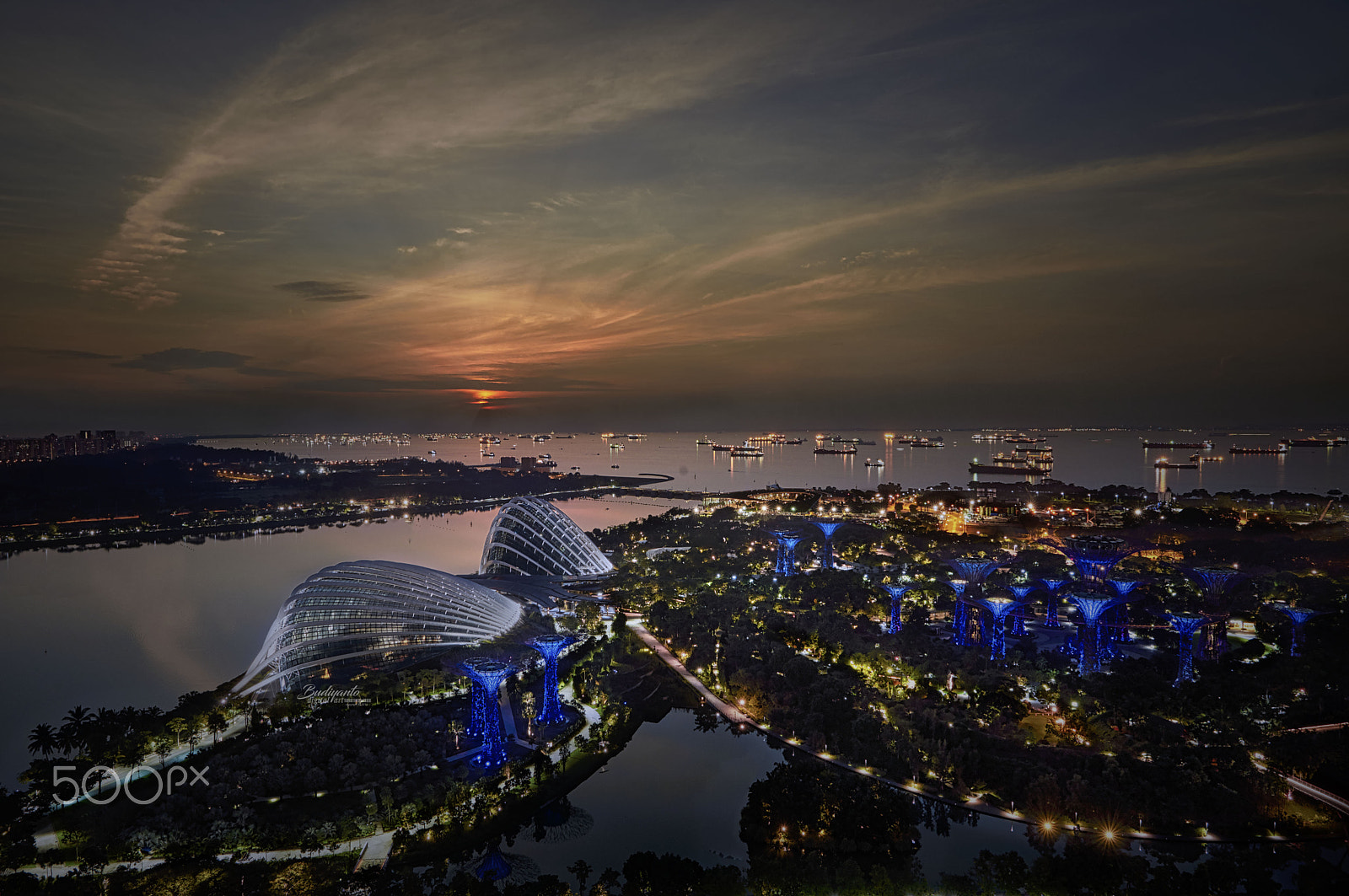 Nikon AF-S Nikkor 14-24mm F2.8G ED sample photo. Sunrise @ garden by the bay photography