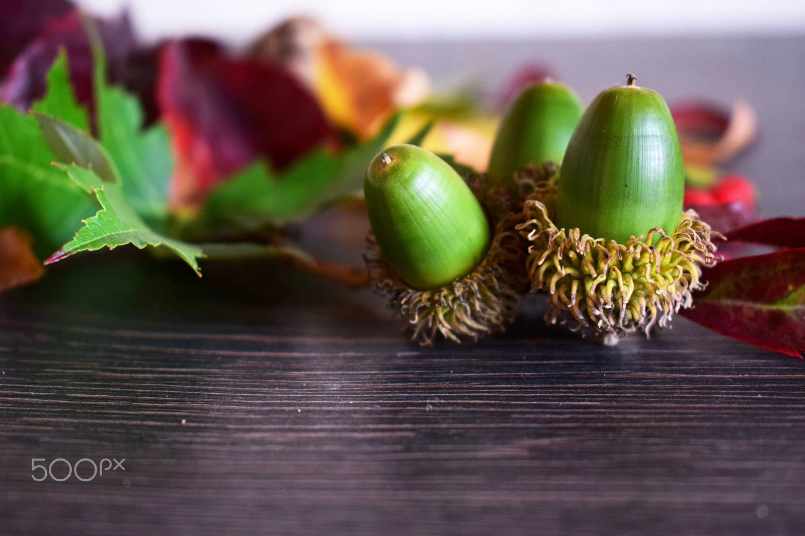 Nikon D3300 sample photo. Decoration autumn leaves 4 photography