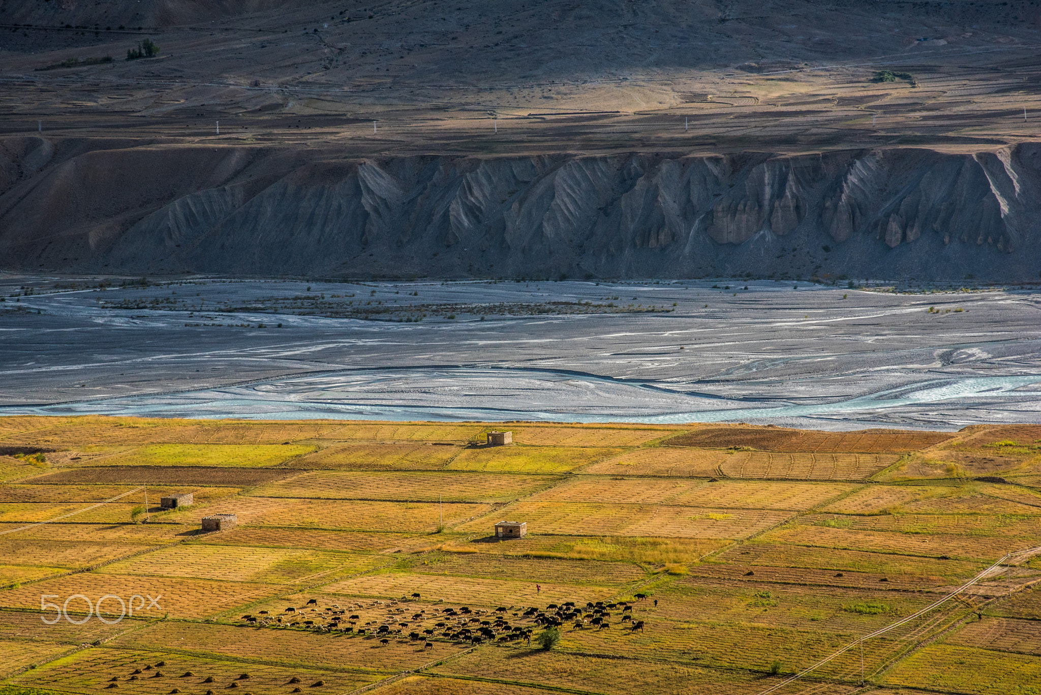 Desert, River, Farms and Animals