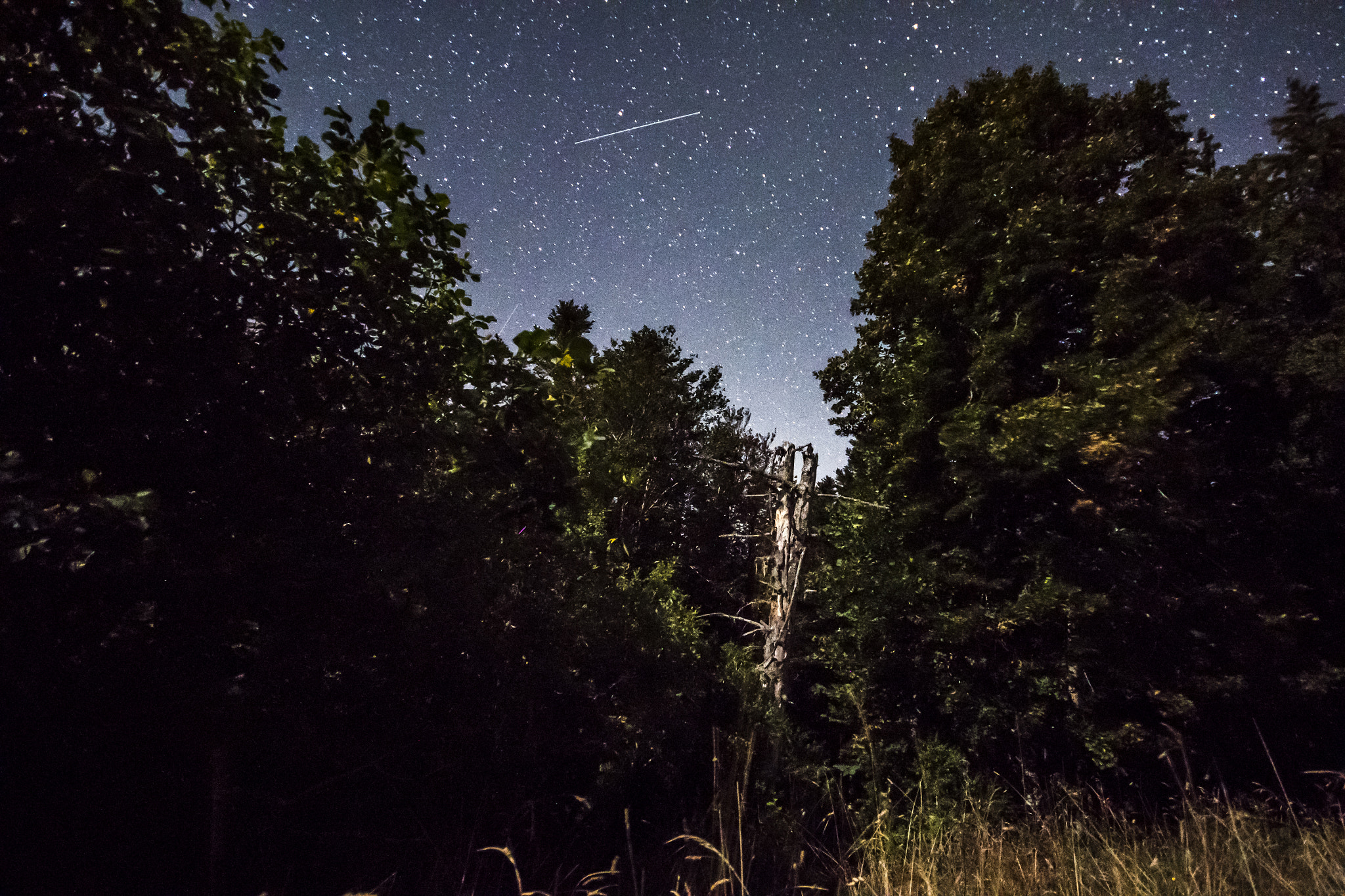 Sigma 10-20mm F4-5.6 EX DC HSM sample photo. Night photography