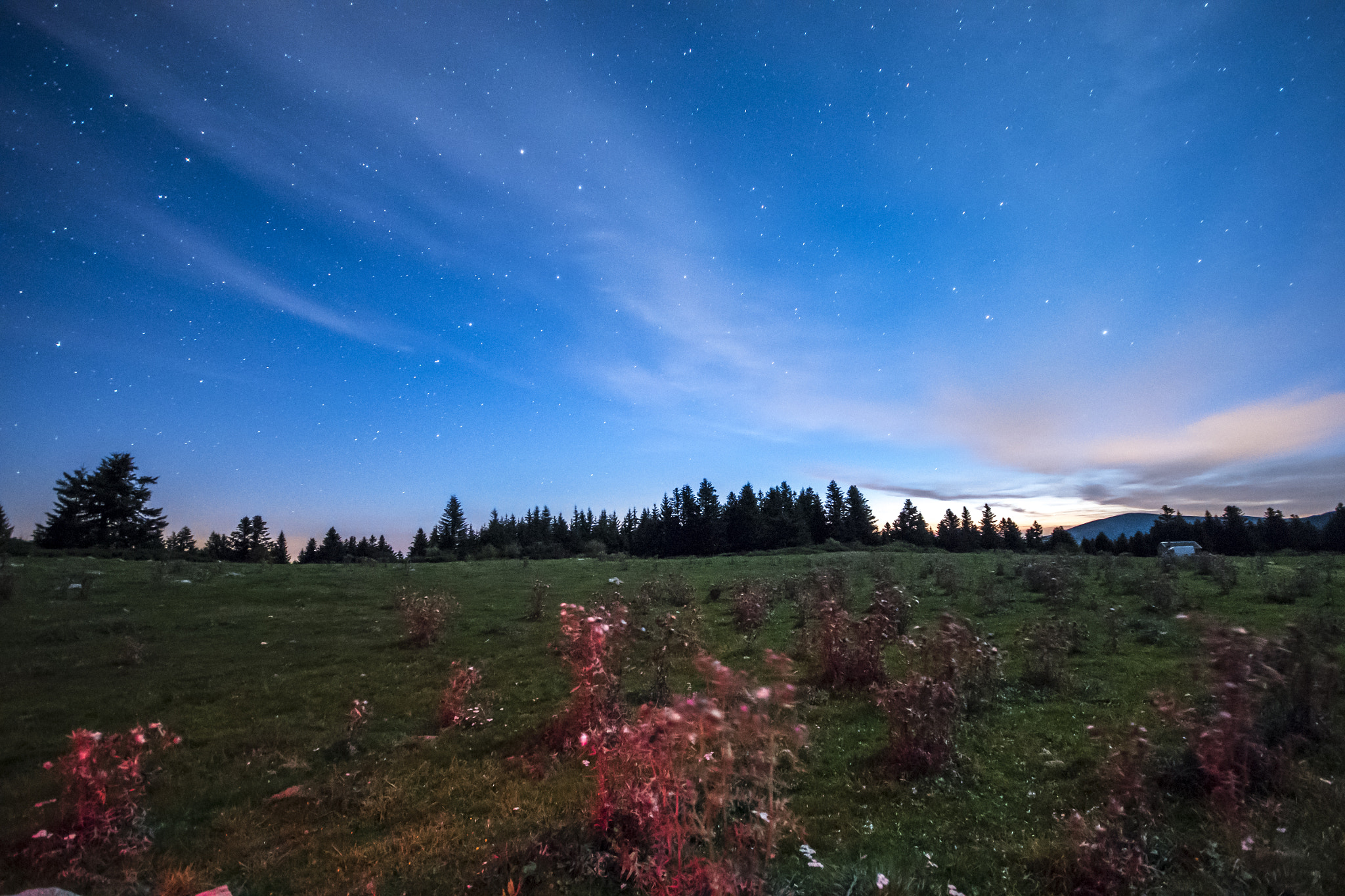 Sigma 10-20mm F4-5.6 EX DC HSM sample photo. Dsc photography