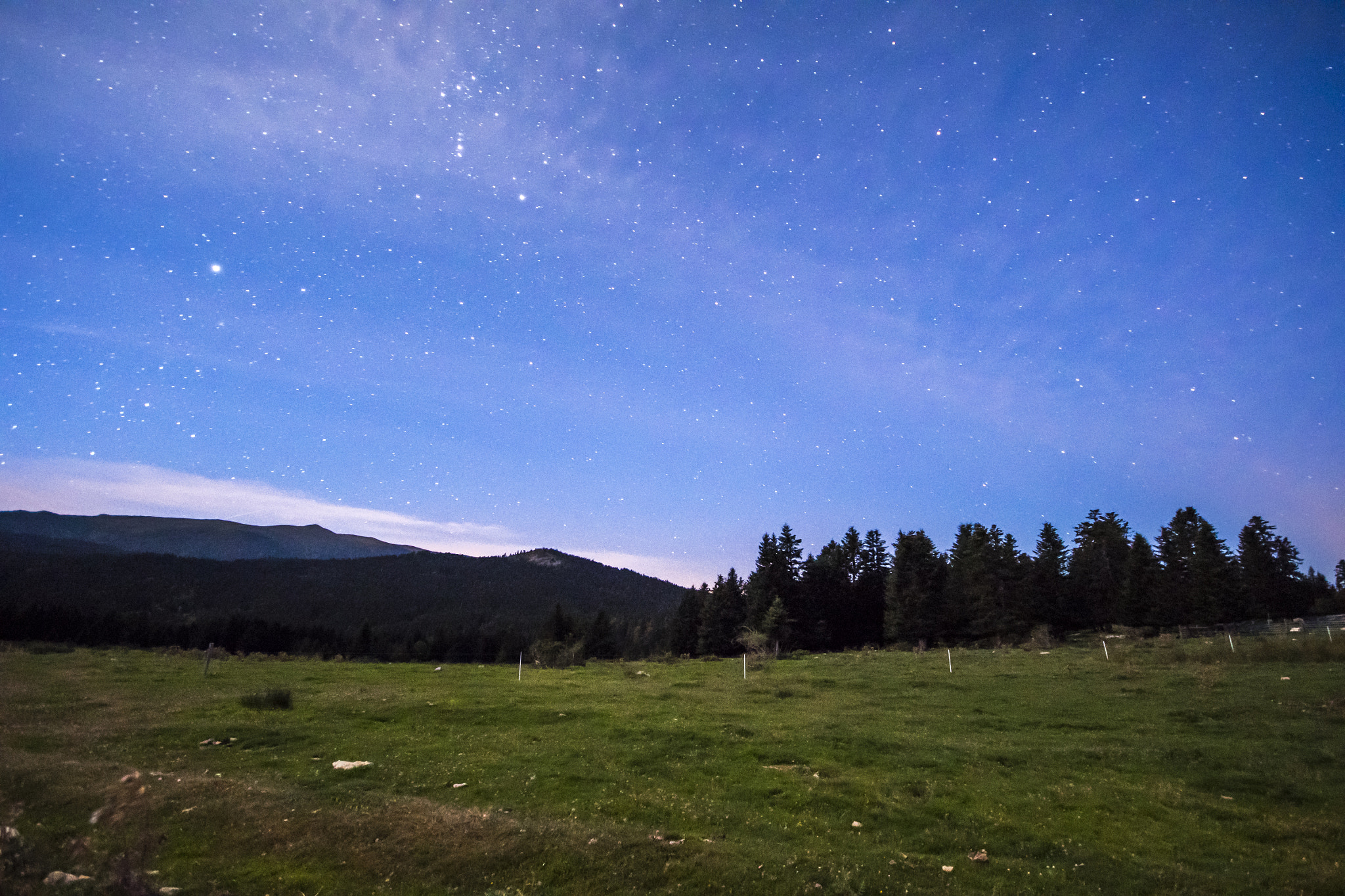 Sigma 10-20mm F4-5.6 EX DC HSM sample photo. Dsc photography