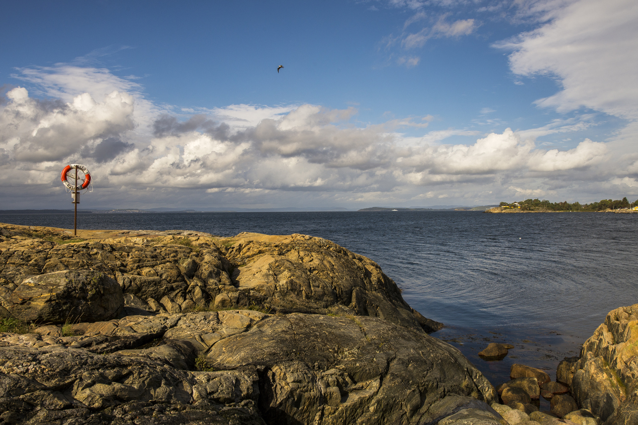 Nikon AF-S Nikkor 200-400mm F4G ED-IF VR sample photo. Oslofjord norway photography
