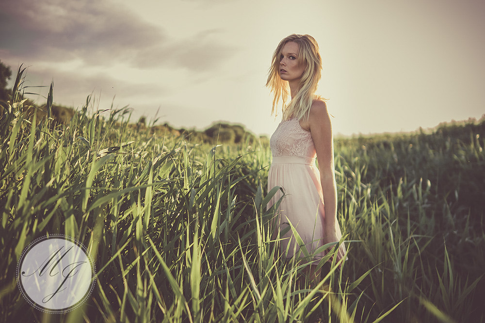 Sigma 30mm F1.4 DC DN | C sample photo. Standing strong. photography